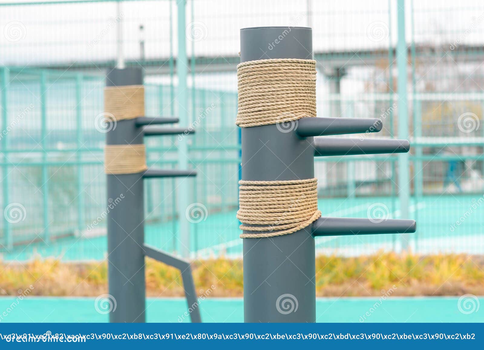 Outdoor Martial Arts Training Dummies Stock Photo Image of sports, outdoor 233022952