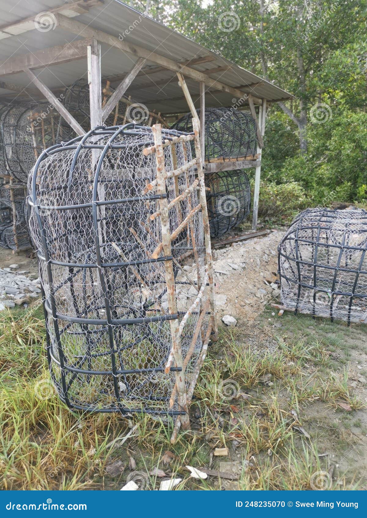 Outdoor Scene of the DIY Fish Trap Structure Make from Mangrove