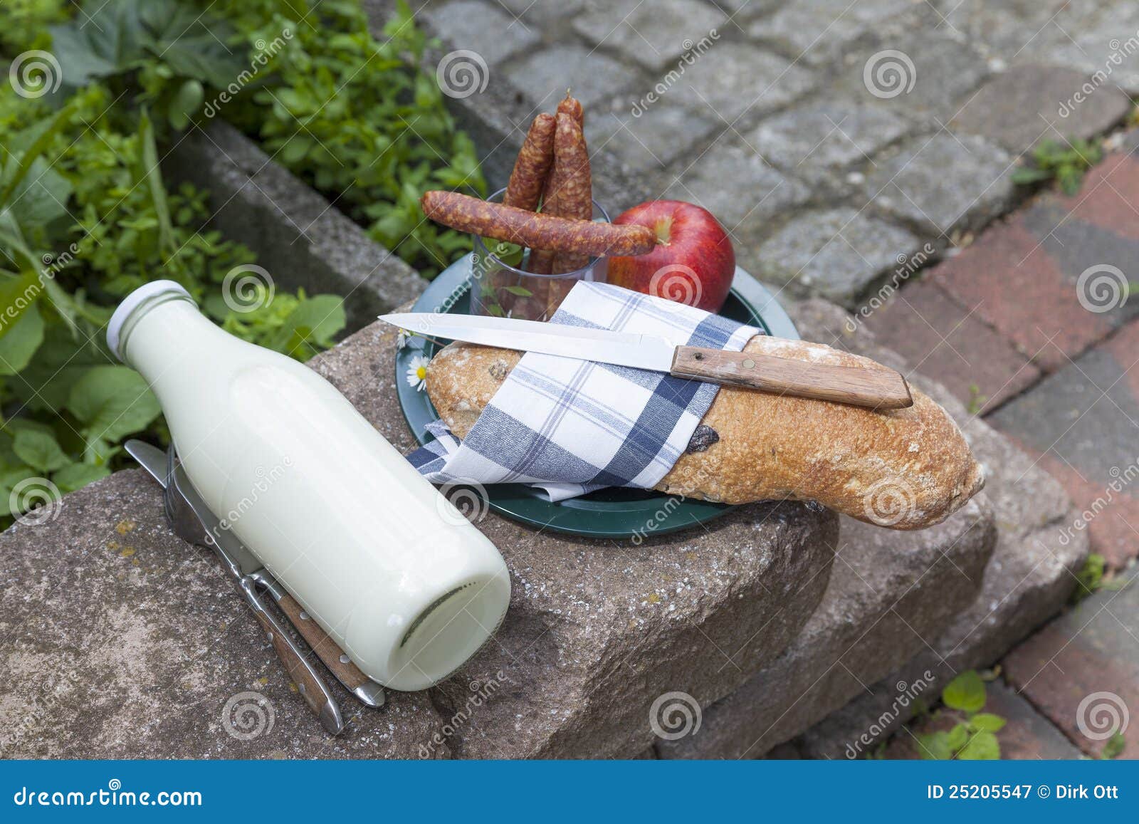 Outdoor snack stock image. Image of break, milk, family 25205547