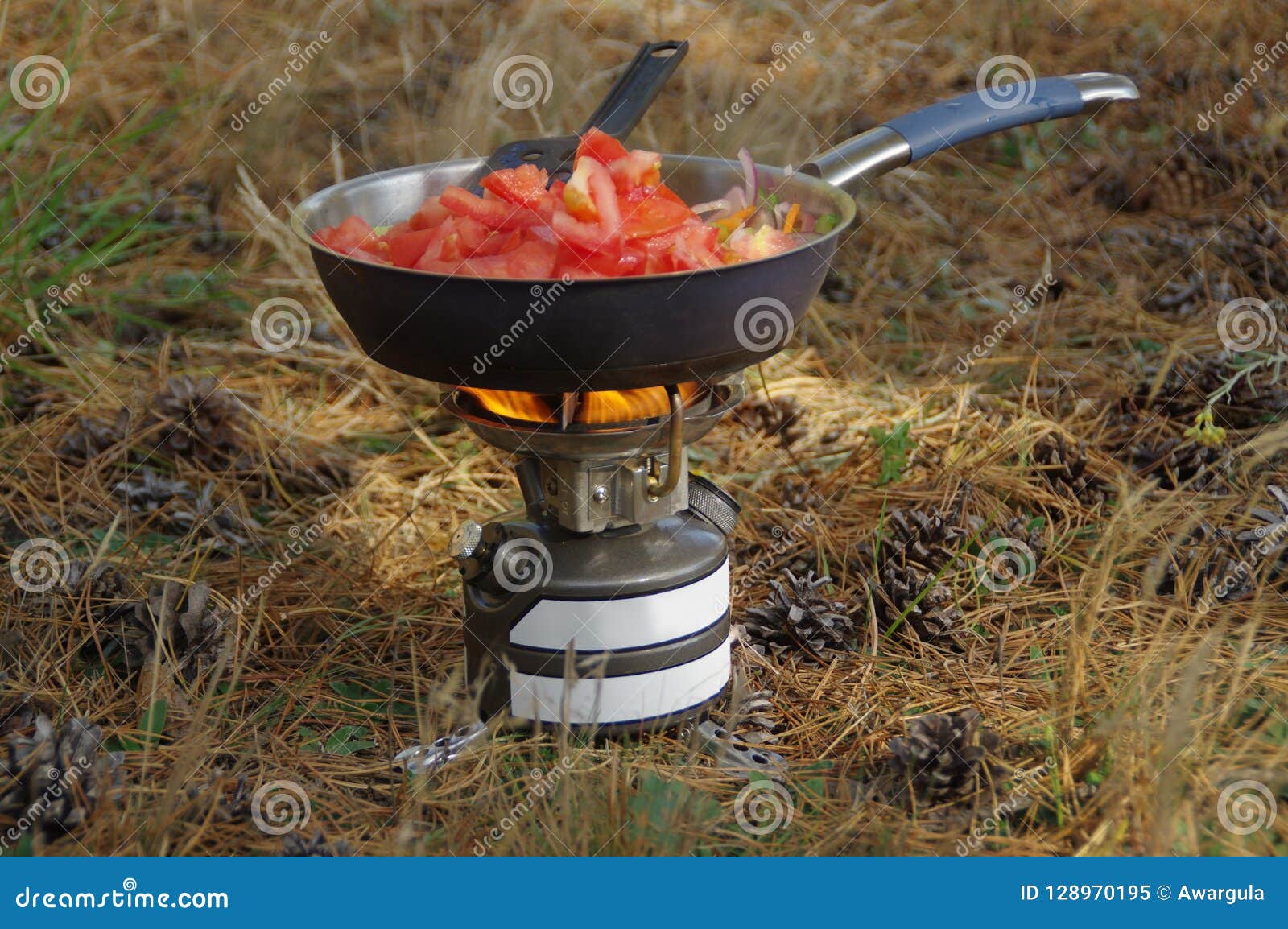 Outdoor survival cooking stock image. Image of camping - 128970195