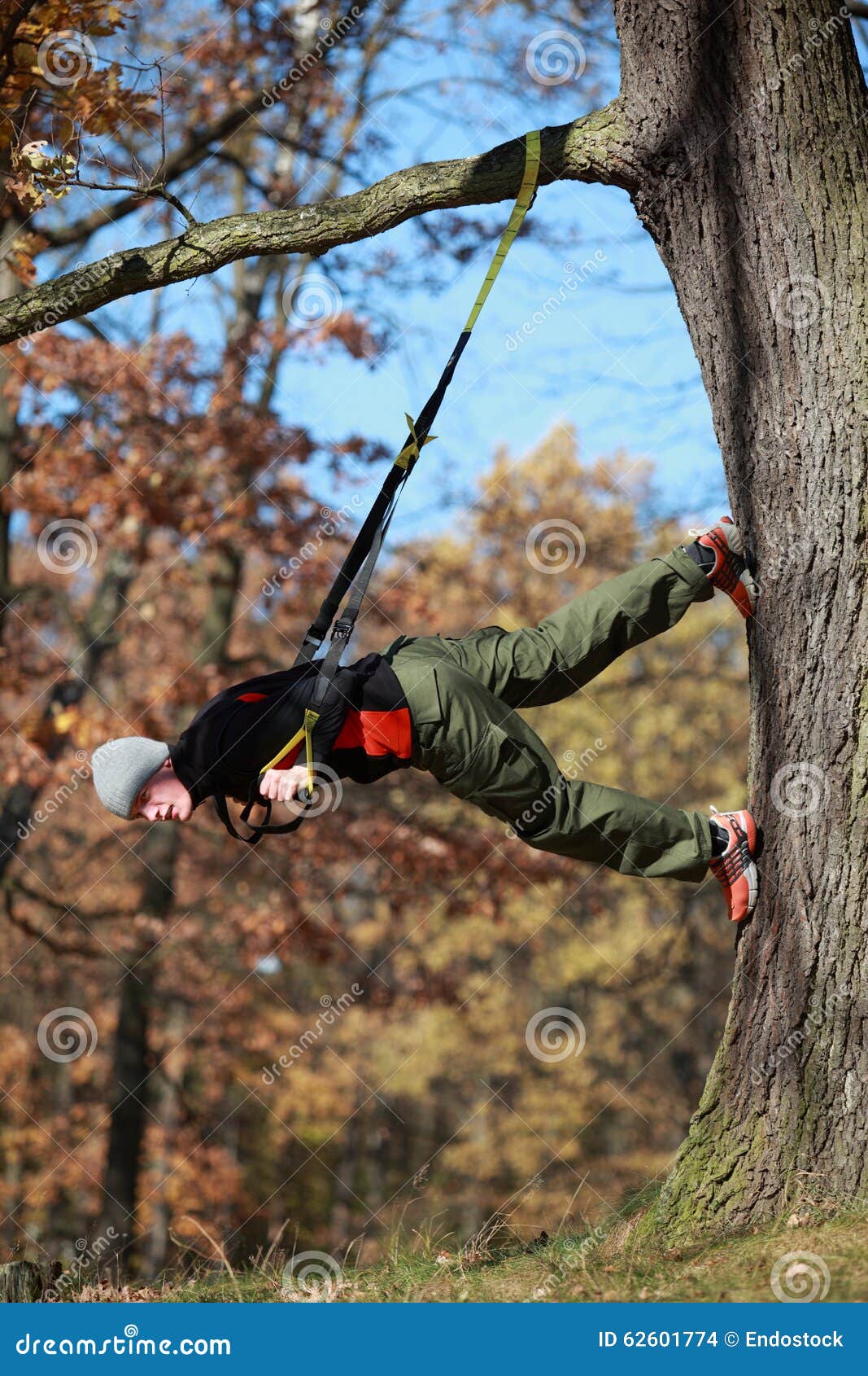 Outdoor Suspension Training in Forest Stock Photo Image of adult, fresh 62601774