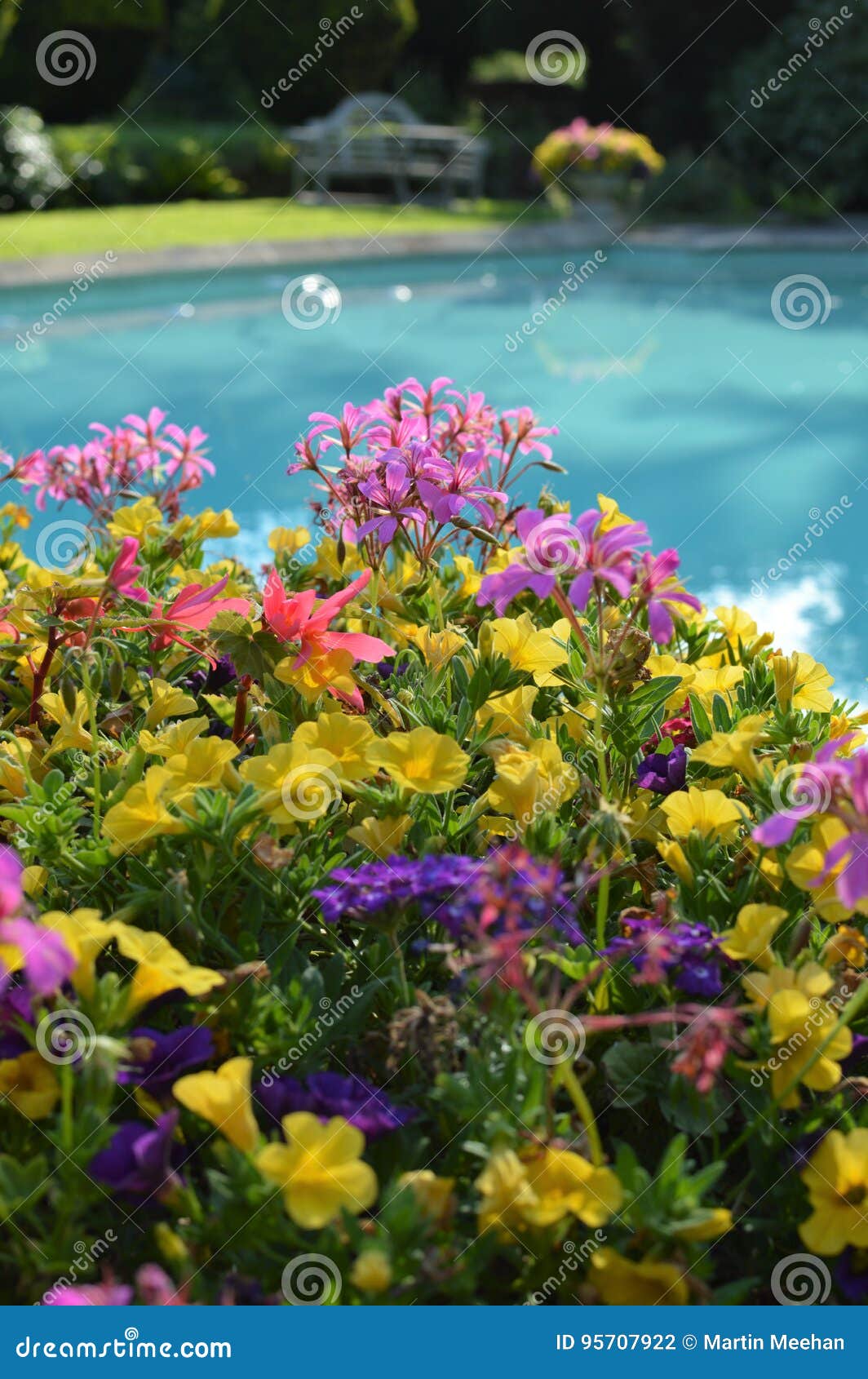 Outdoor Swimming Pool on a Hot Summers Day. Stock Photo - Image of ...