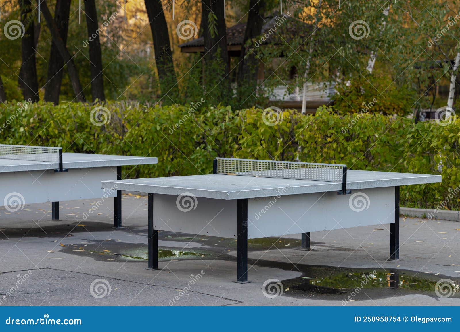 Outdoor Table Tennis Table in the Park. Table Tennis Stock Photo