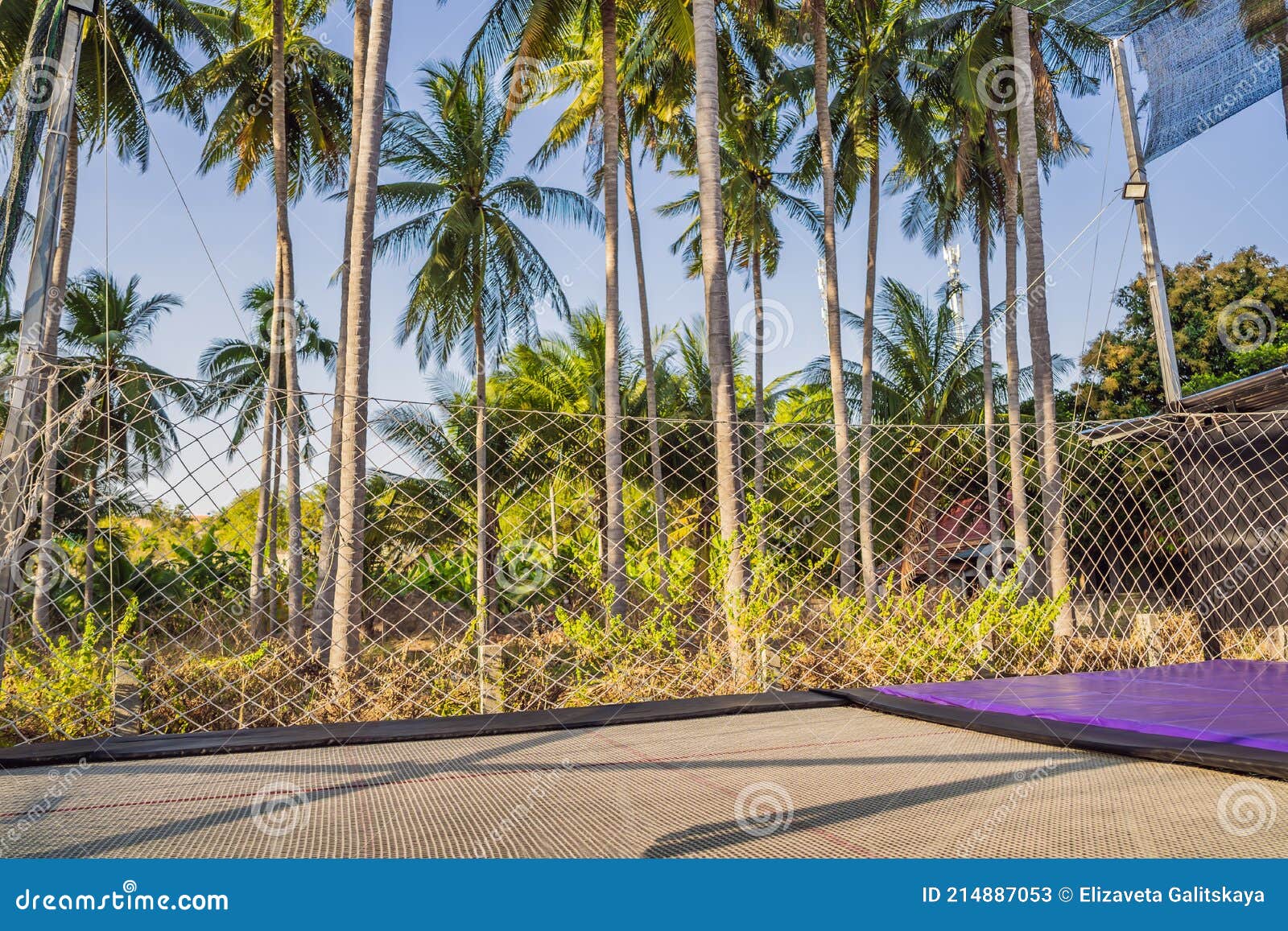 Outdoor Trampoline on a Background of Palm Trees Stock Image Image of