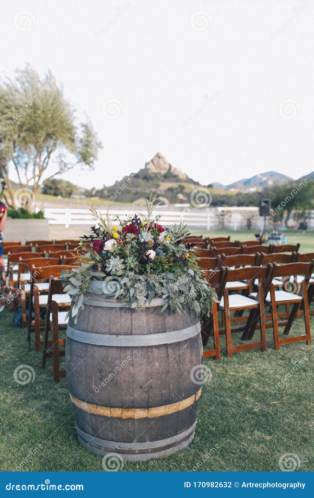 Outdoor Winery Wedding Venue Wine Barrels Decoration Stock Photo