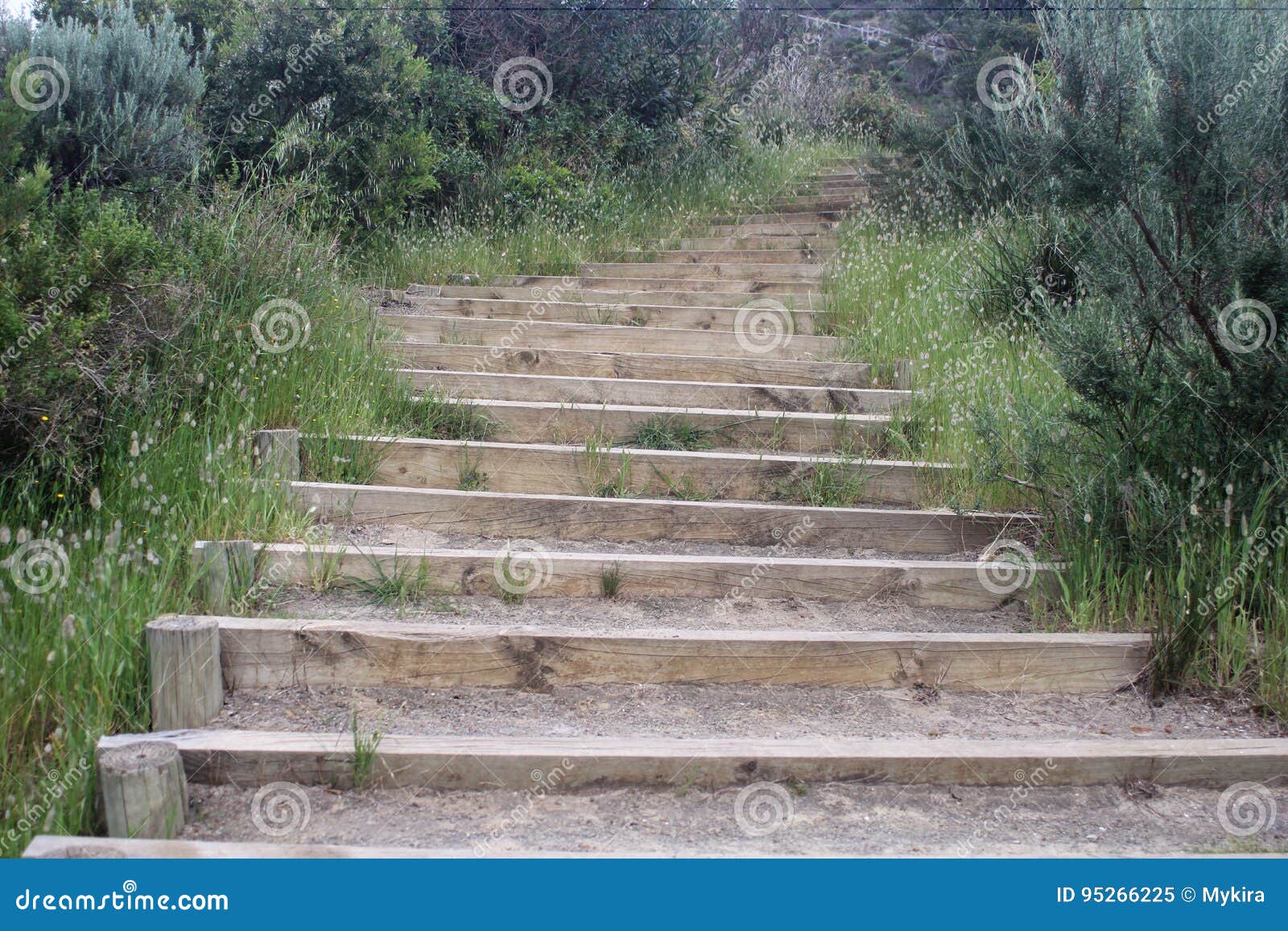 Outdoor Wooden Stairs stock image. Image of brown, stairs 