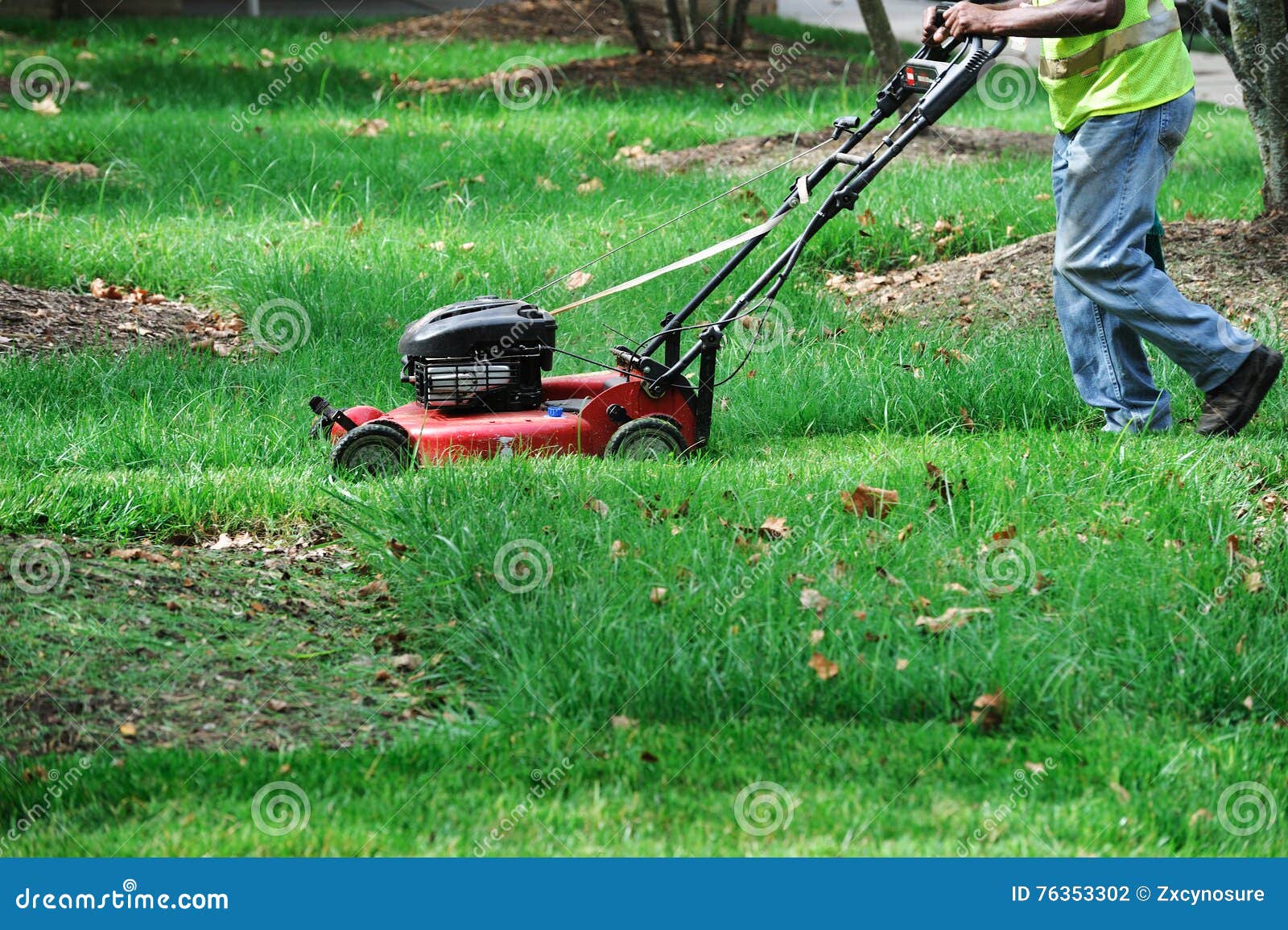 Outdoor Worker Mowing the Lawn Stock Photo Image of closeup, gardener