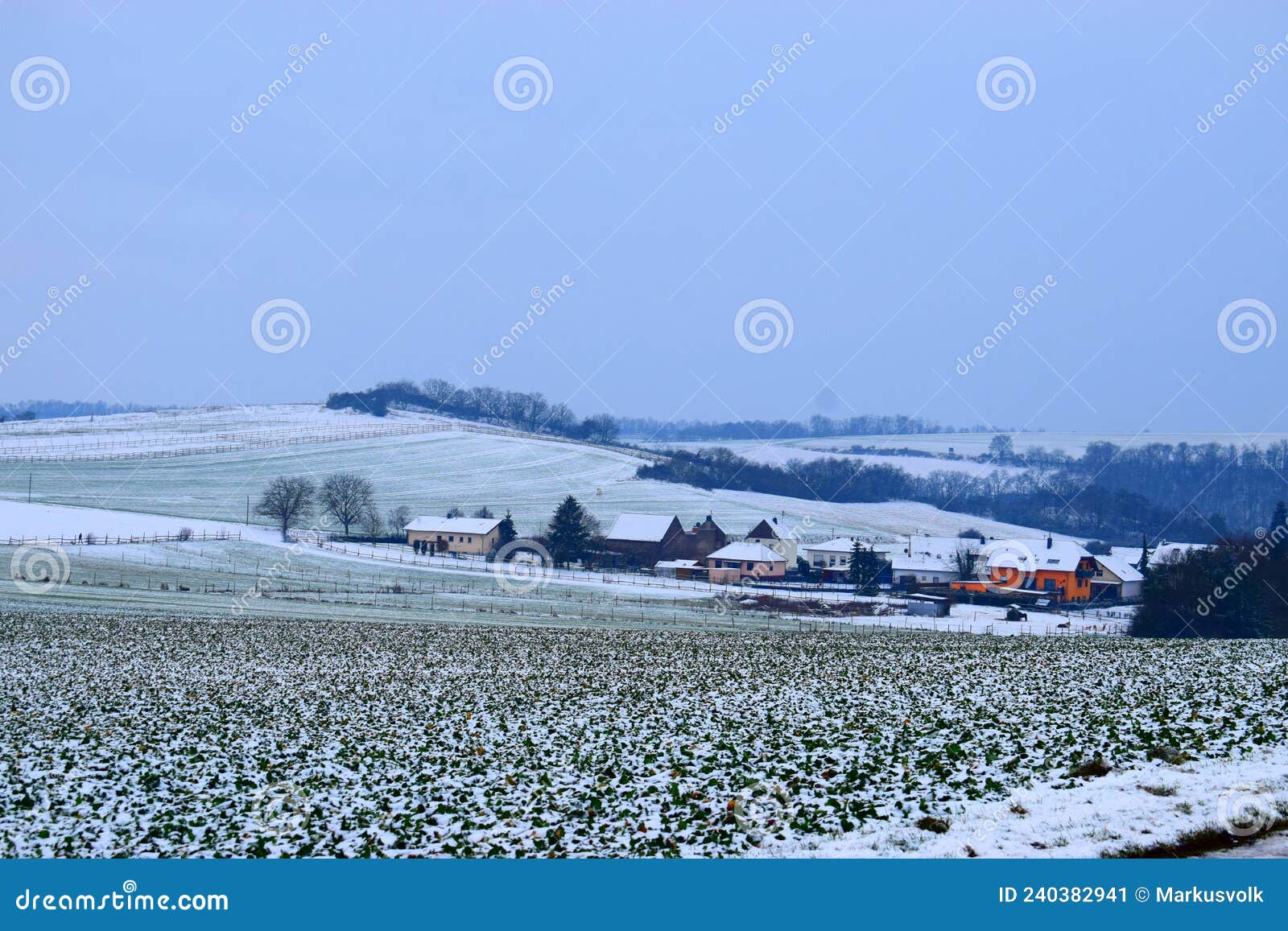 outer part of village welling with snowy landscape in the eifel