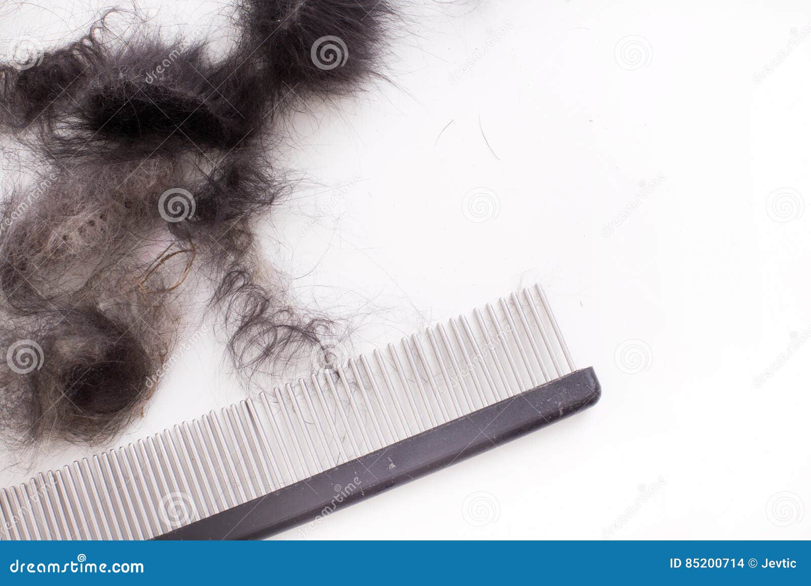 Outil De Toilettage De Chien Avec La Fourrure Animale Photo