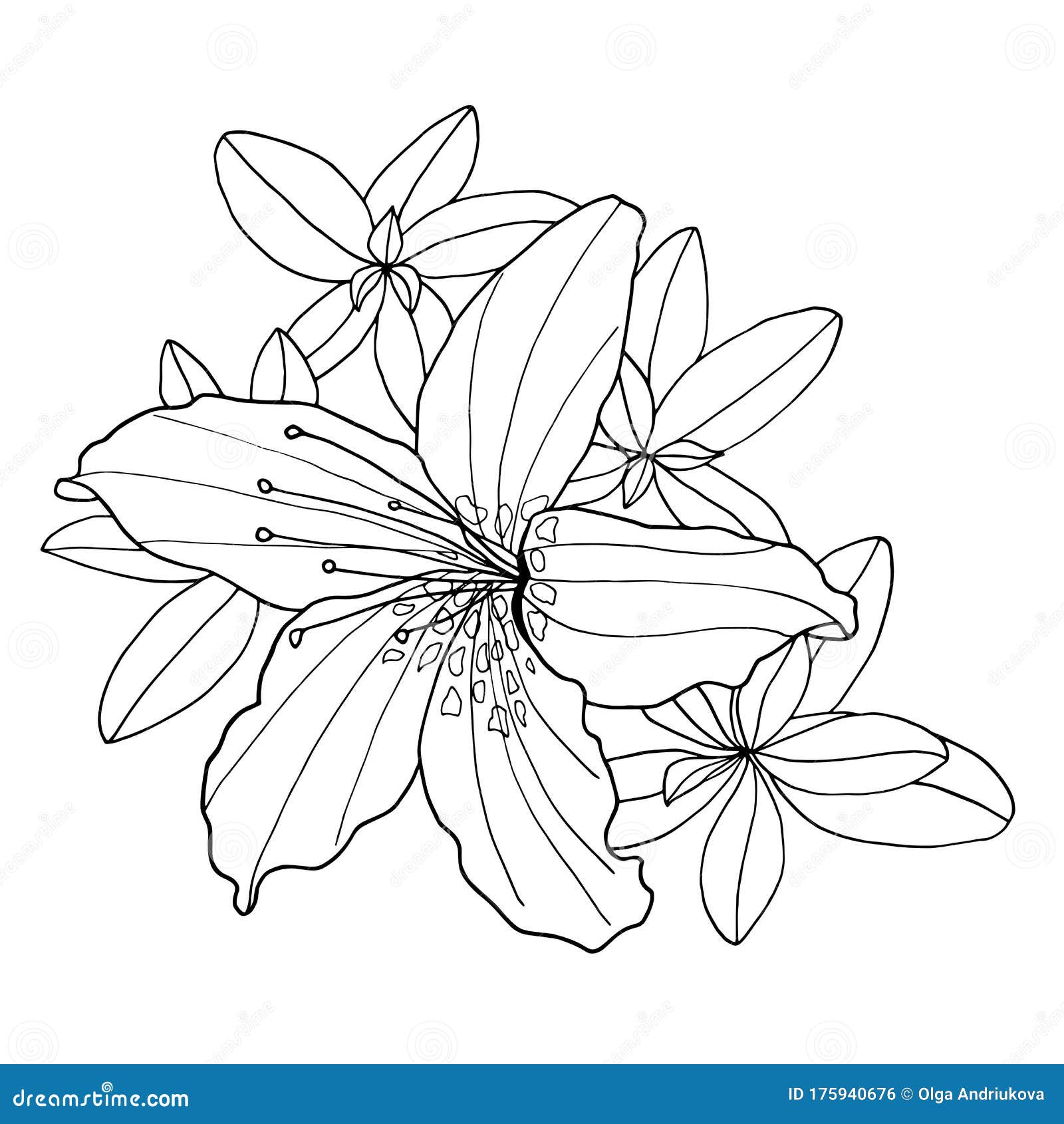 Outline Decorative Rhododendron Flower and Leaves. Coloring Book Vector ...