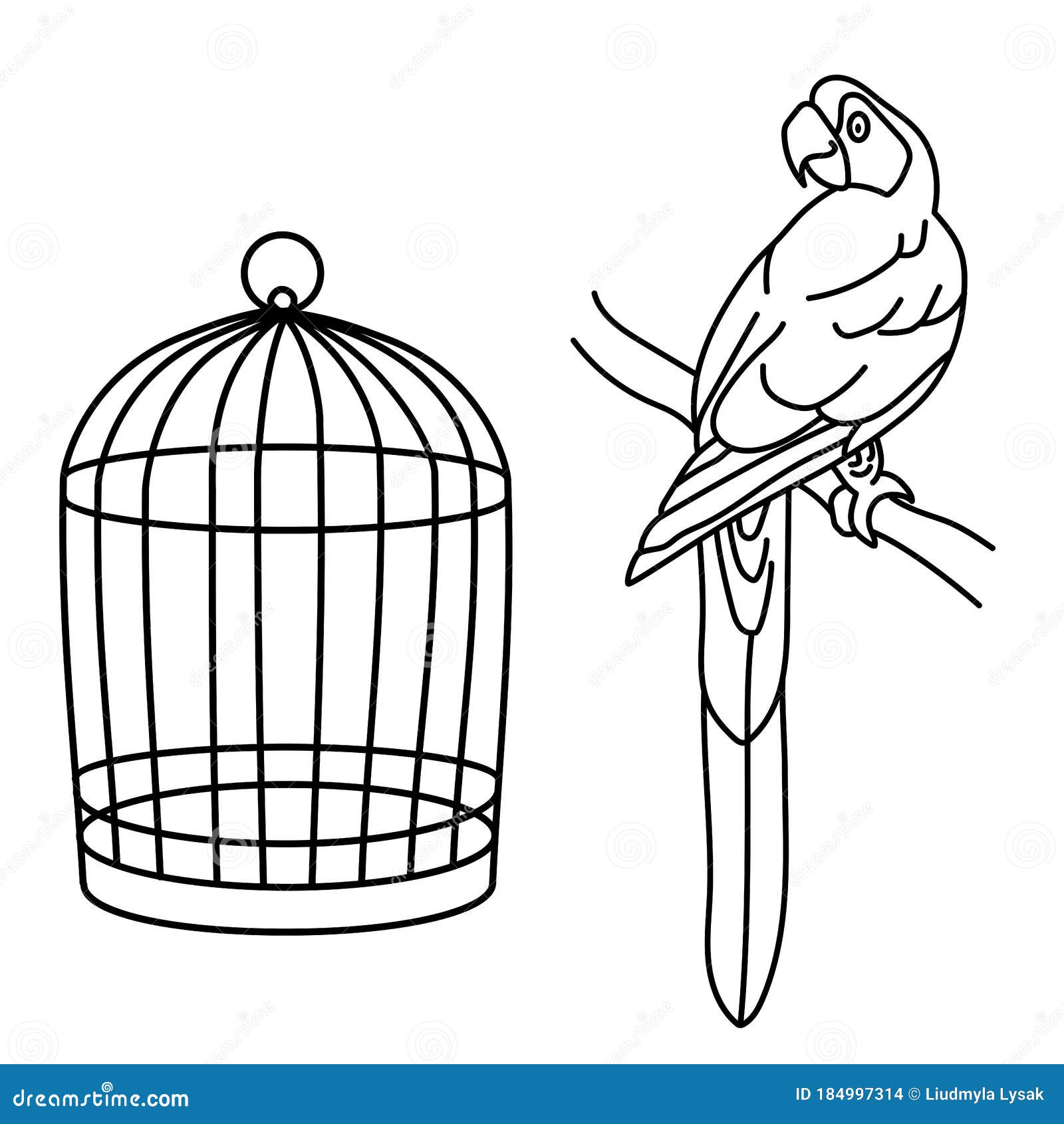 A Parrot In A Cage RoyaltyFree Stock Photography