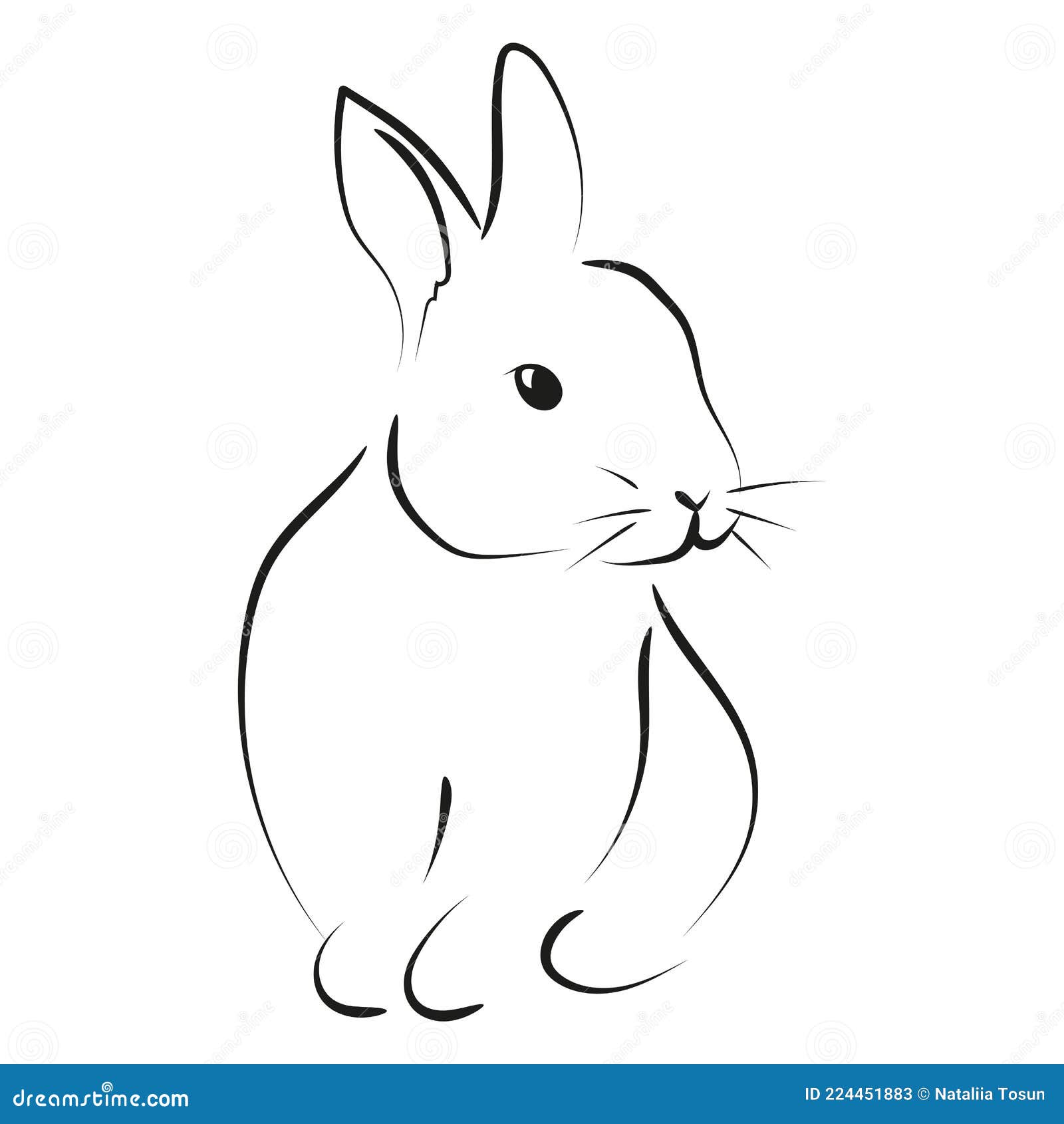 Rabbit Drawing Images  Browse 615184 Stock Photos Vectors and Video   Adobe Stock