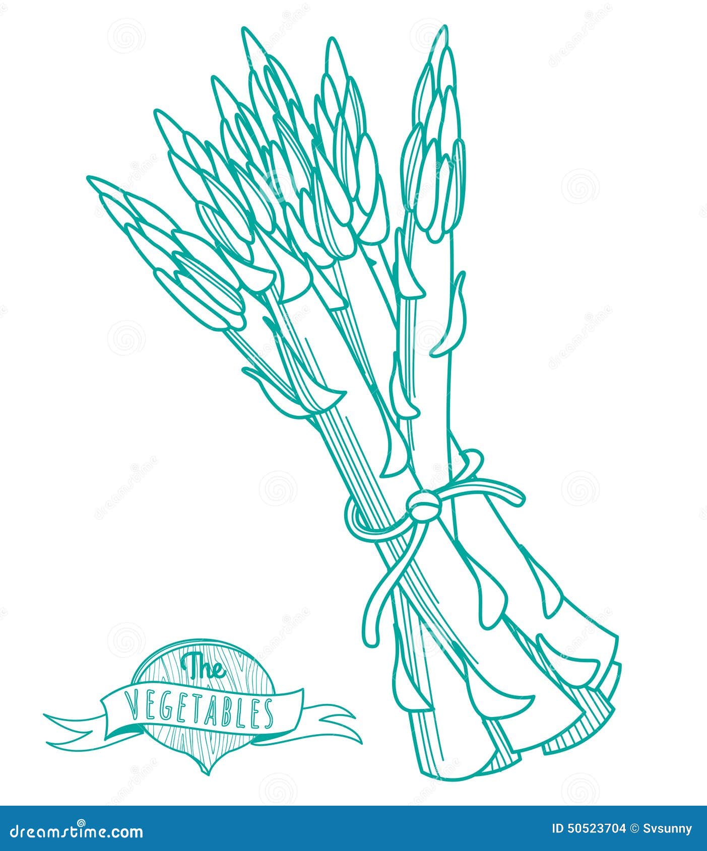 Outline Hand Drawn Sketch of Asparagus (flat Style, Thin Line) Stock