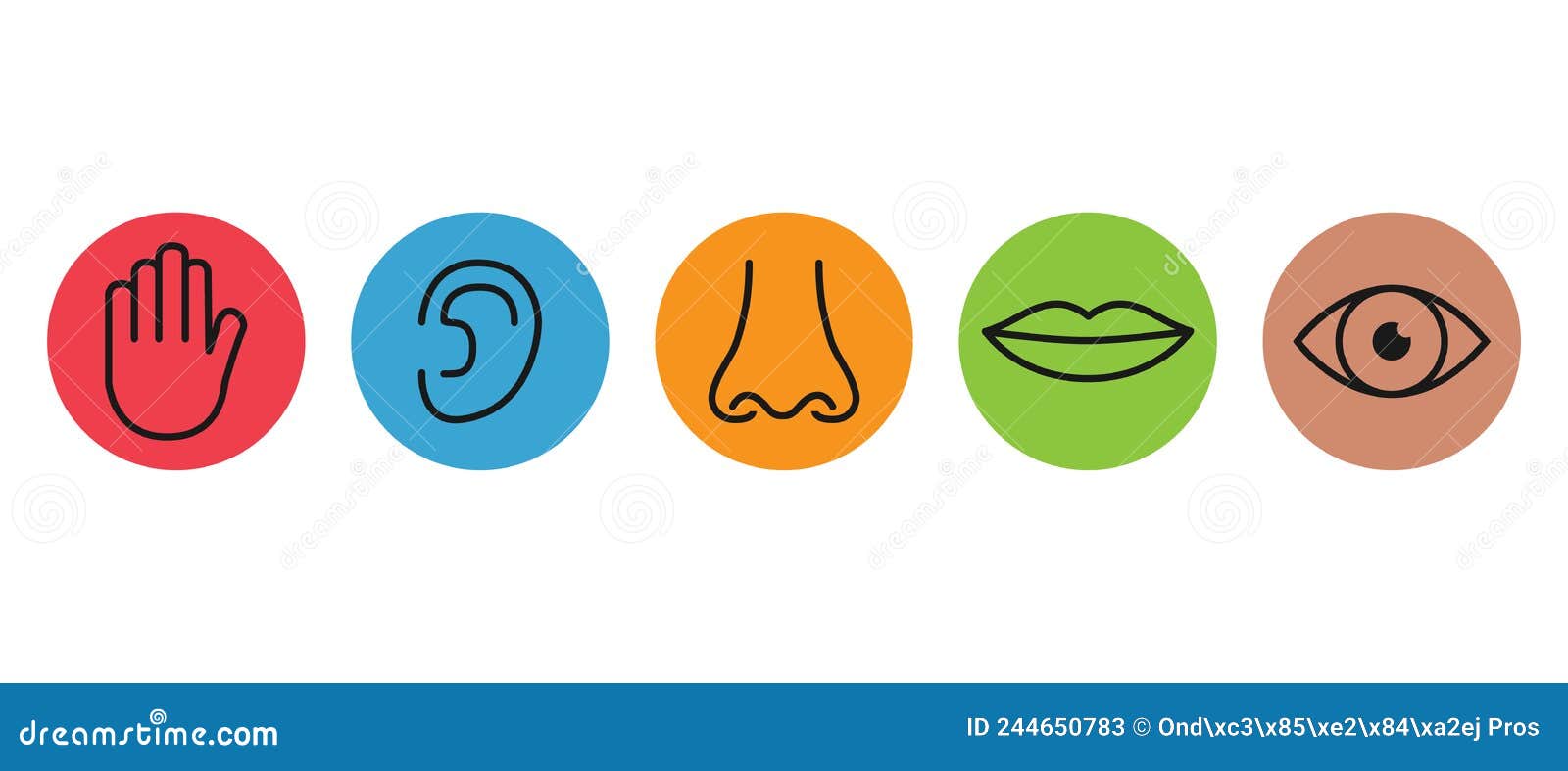 Outline Icon Set of Five Human Senses: Vision Eye Smell Nose Hearing ...