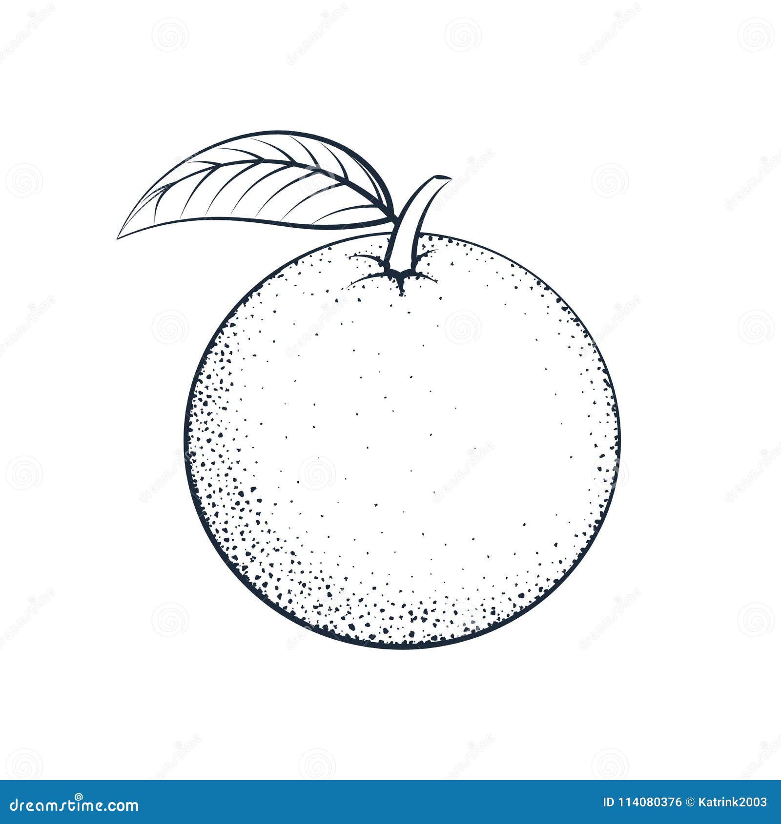 Outline orange with a leaf stock vector. Illustration of orange 114080376