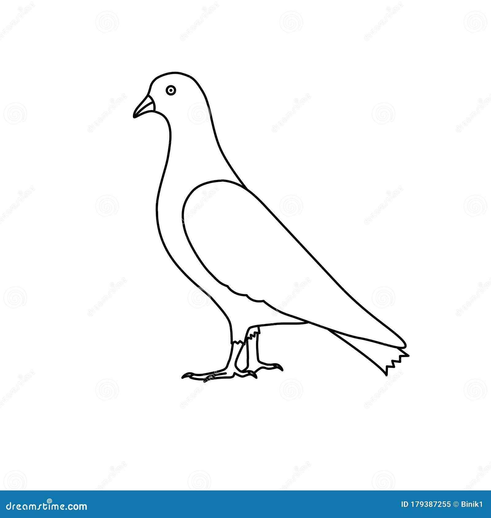 How To Draw The Pigeon