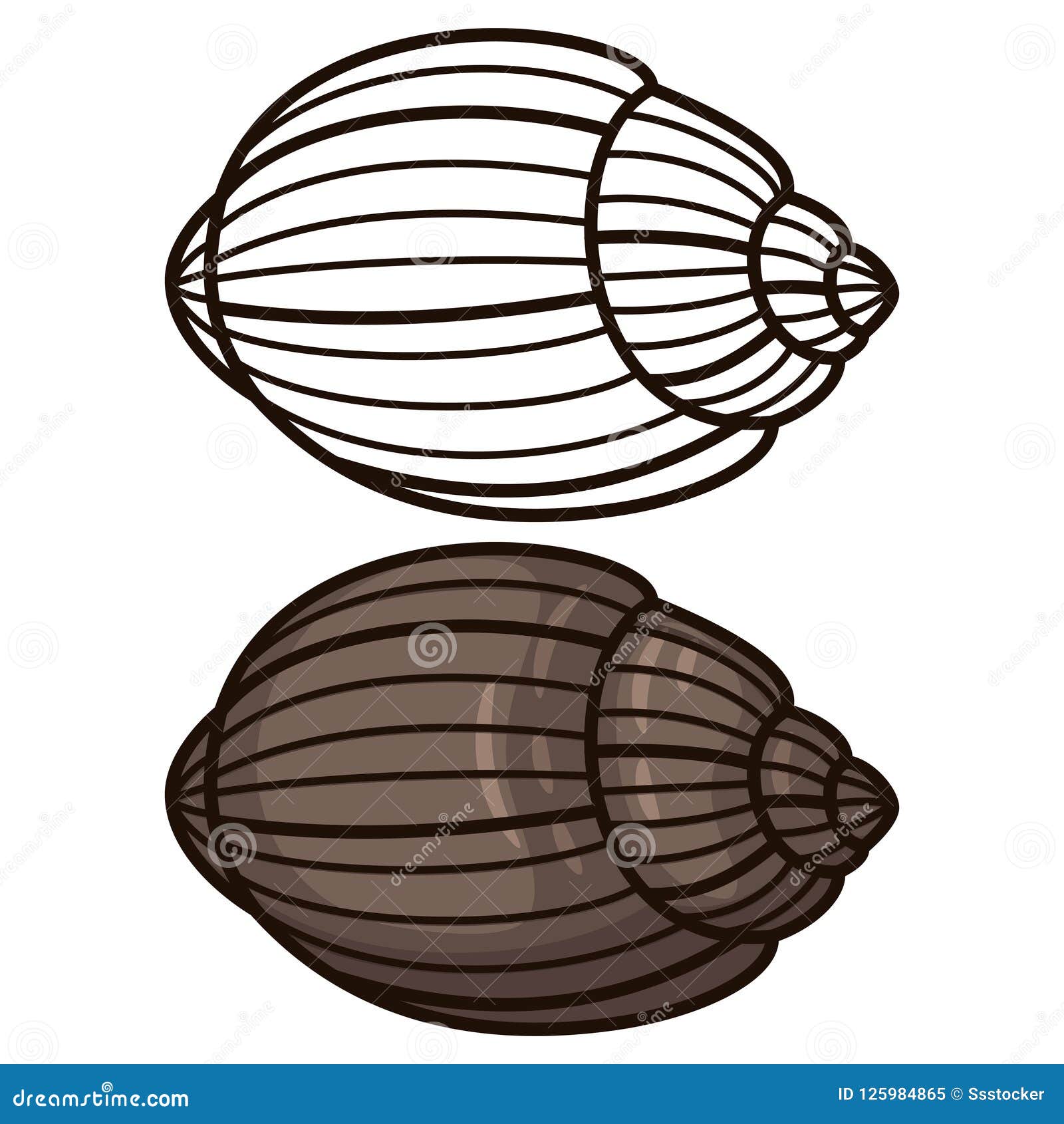 Download Seashell Coloring Stock Illustrations 925 Seashell Coloring Stock Illustrations Vectors Clipart Dreamstime