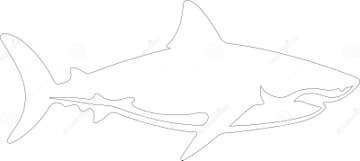 Great White Shark Outline Silhouette Generative Ai Stock Vector