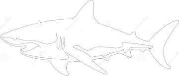 Great White Shark Outline Silhouette Generative Ai Stock Vector