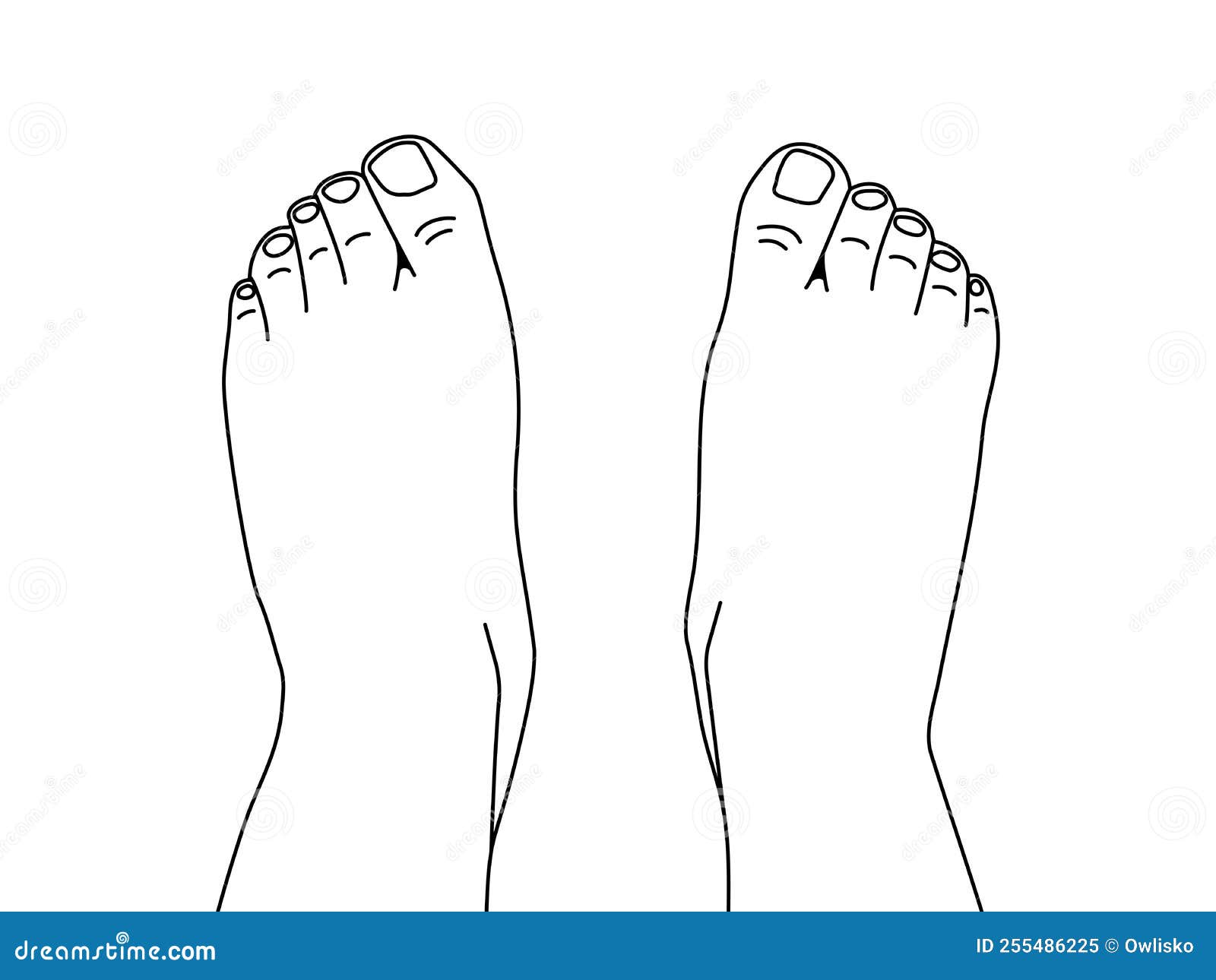 Outline Two Bare Human Feet Top View Stock Vector - Illustration of ...