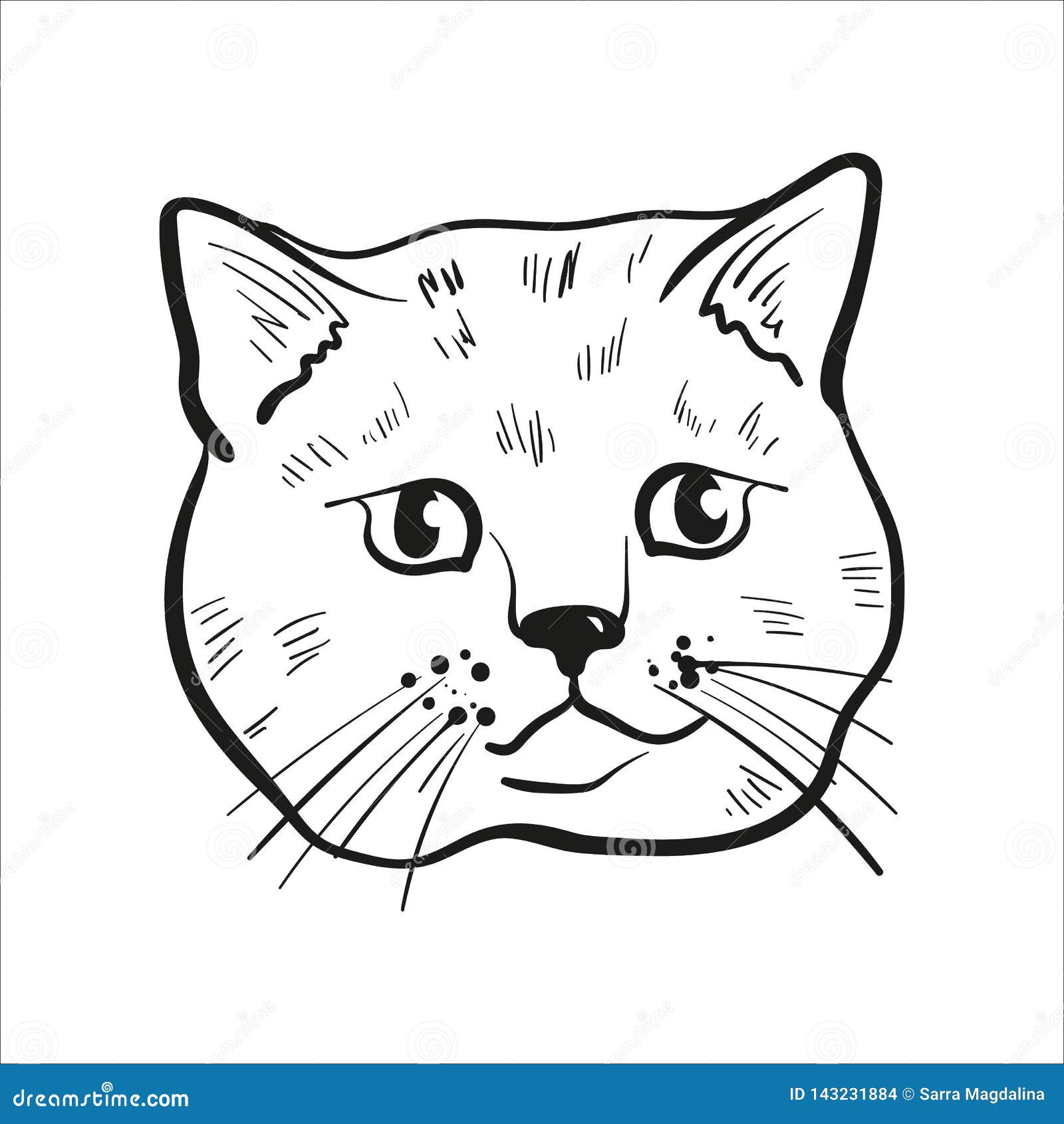 Outlined Cat Head Drawing Scottish Straight Cat Illustration Stock Vector Illustration Of Grooming Home