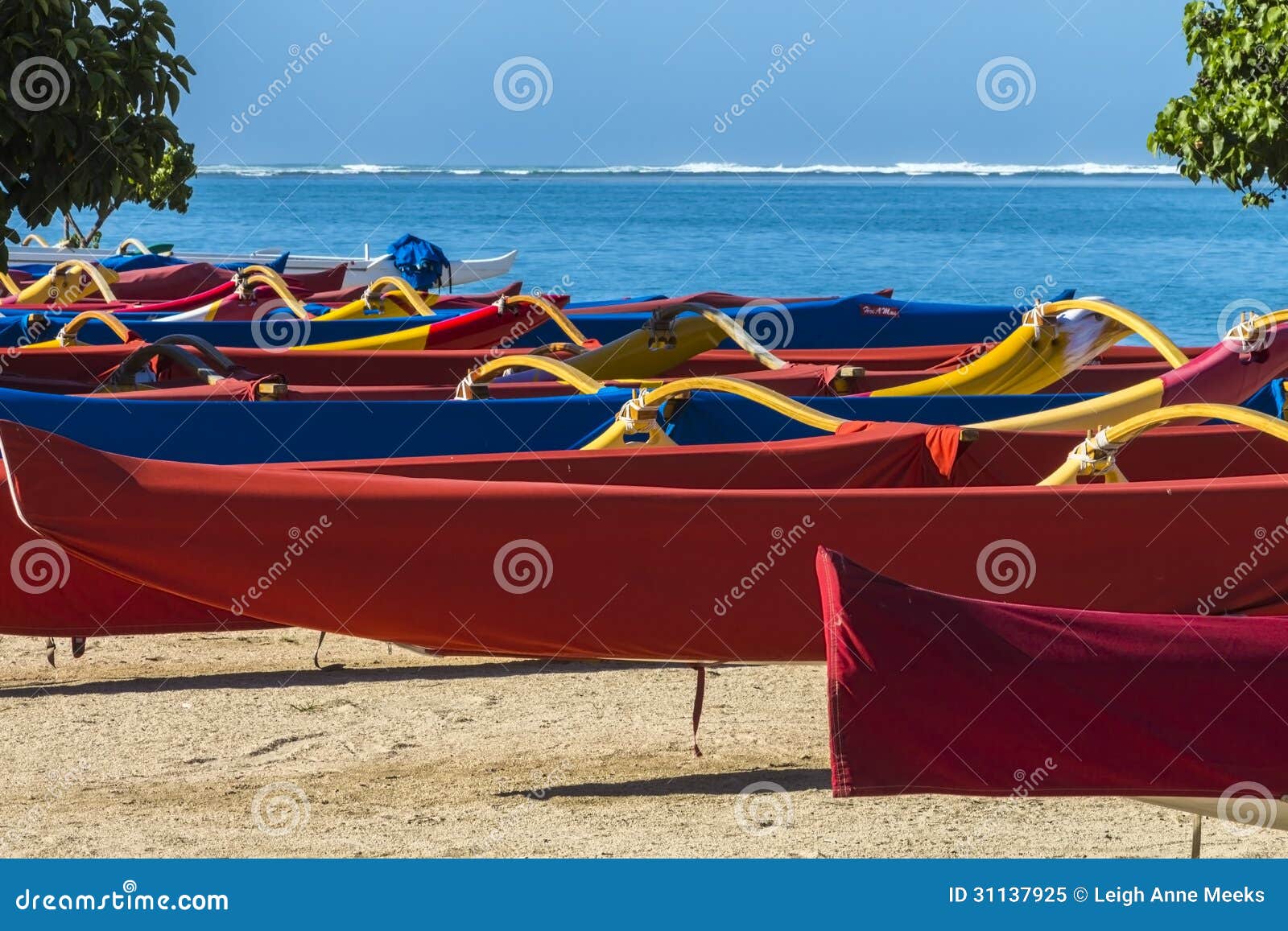 Outrigger Canoes 1 stock image. Image of tree, oahu, exotic 31137925
