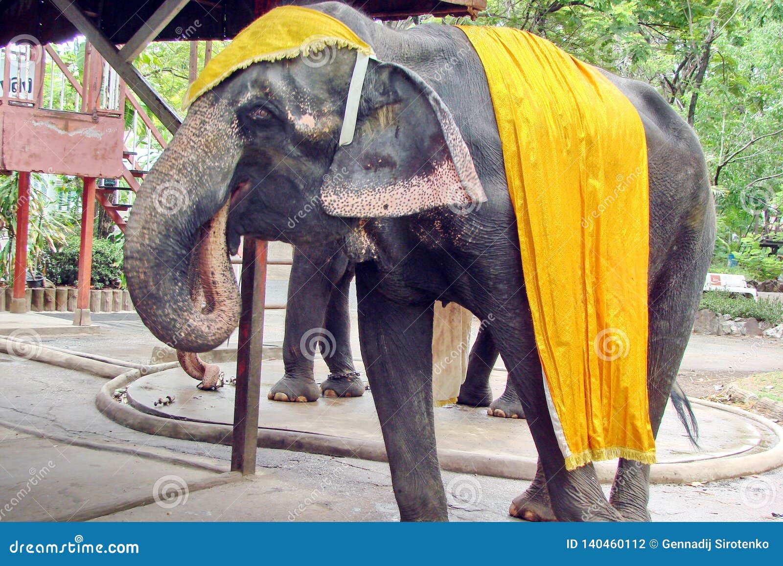 Outskirts Of Bangkok City. Thailand. Fauna And Flora Of Southern Asia