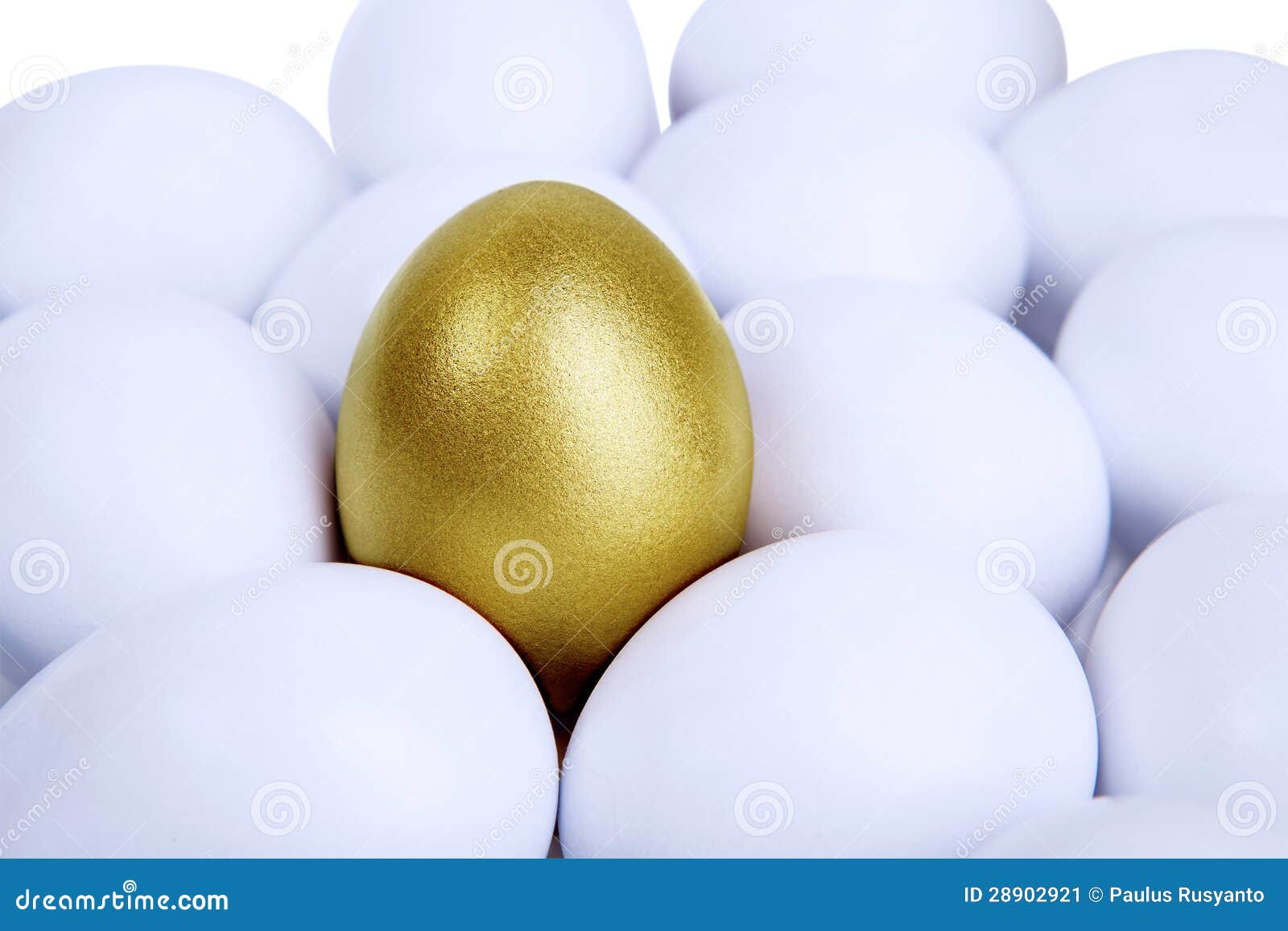 outstanding golden egg