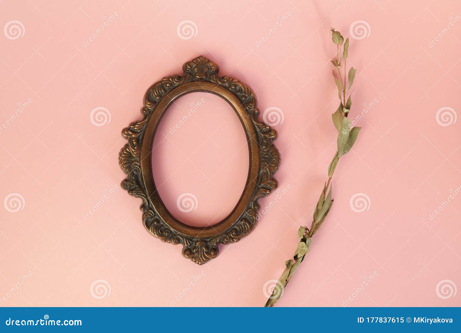 Download Oval Art Frame On Pink Background. Empty Bronze Metal ...