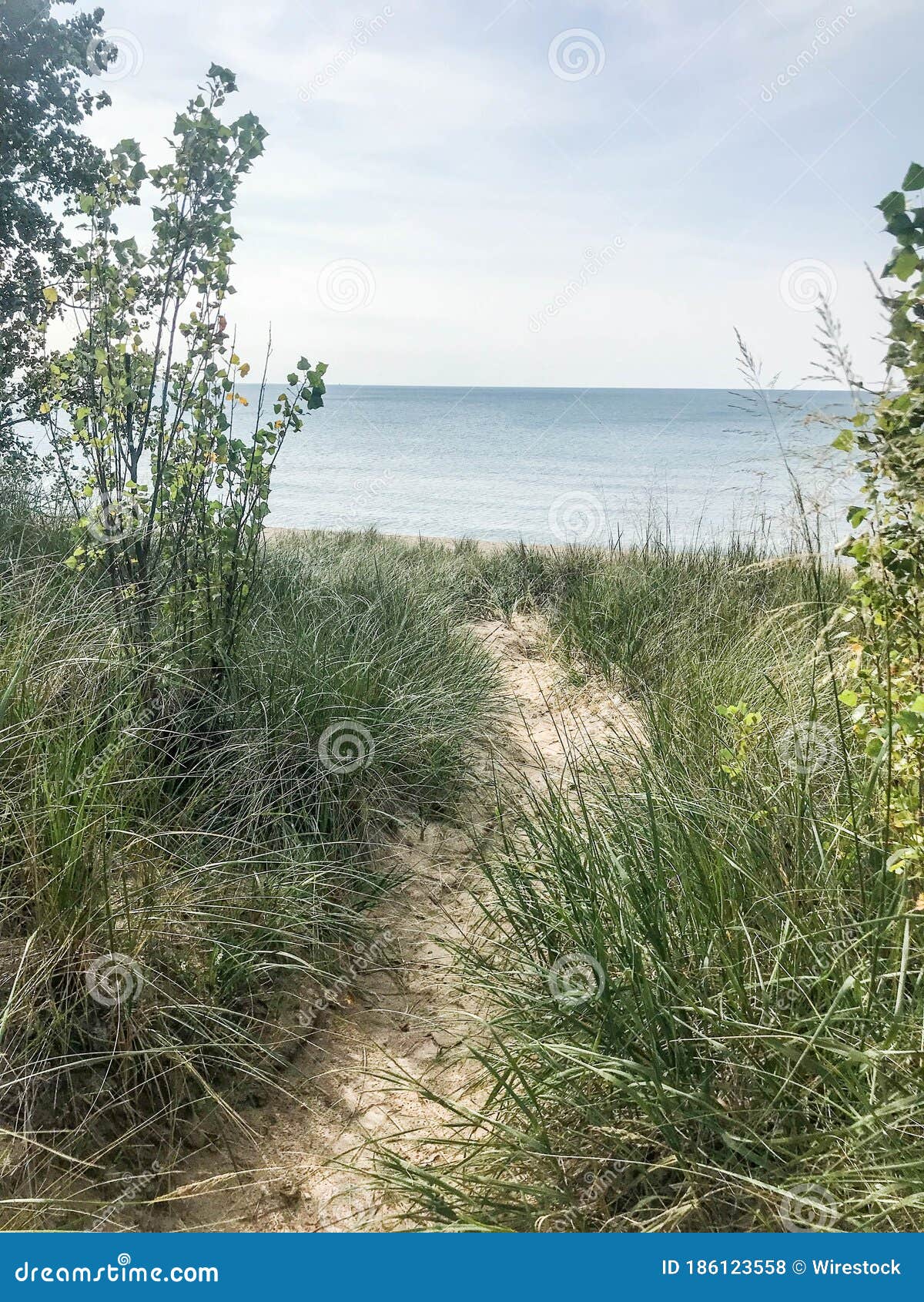 Oval Beach in Saugatuck stock photo. Image of oval, path 186123558