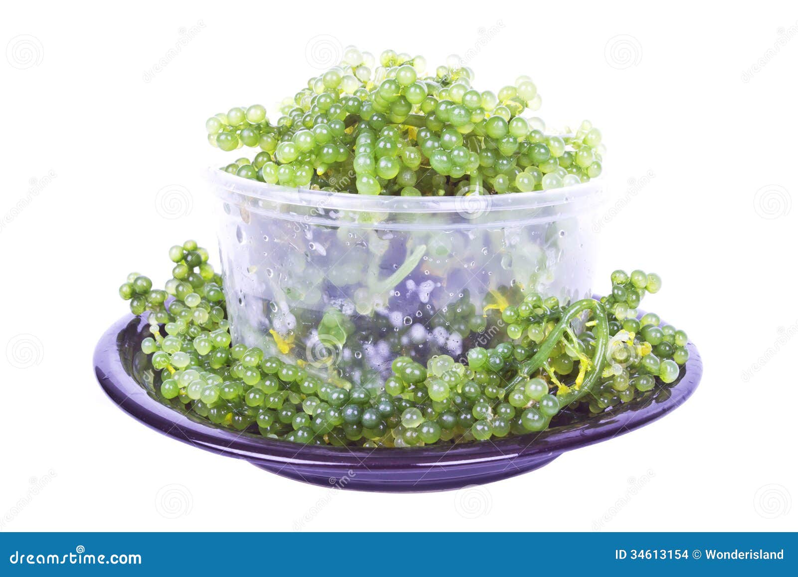 Oval sea grapes seaweed stock photo. Image of vegetarian 34613154