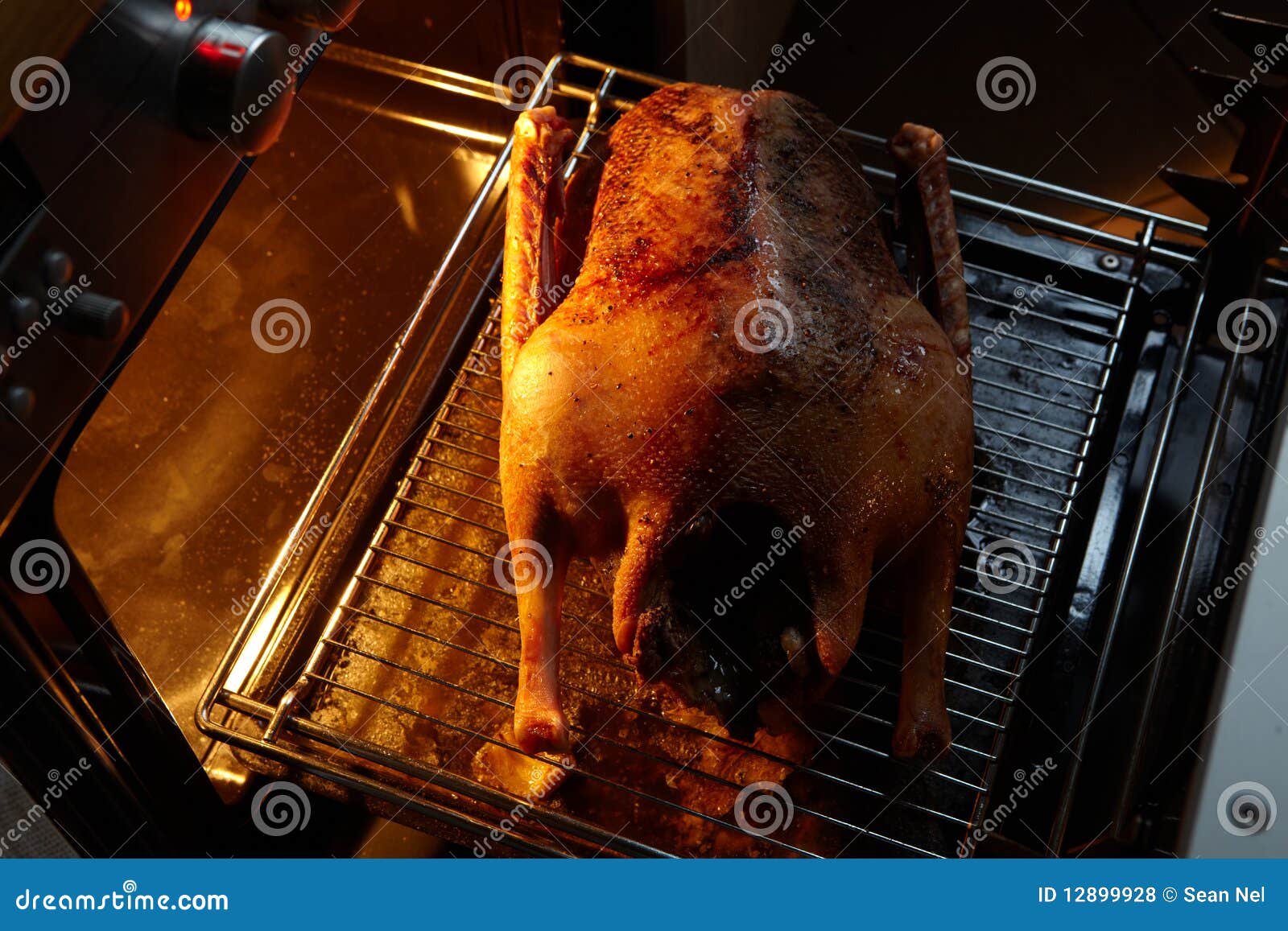 Oven roasted Goose stock photo. Image of plump, celebration 12899928