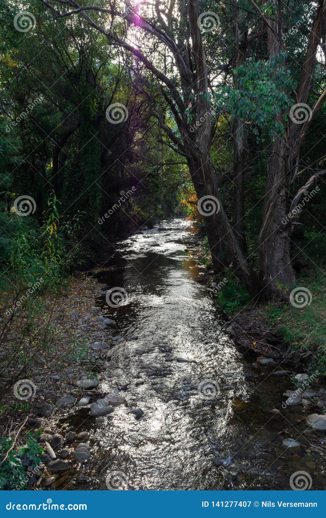 Australia, Victoria, Harrietville, Ovens River Stock Photo - Alamy