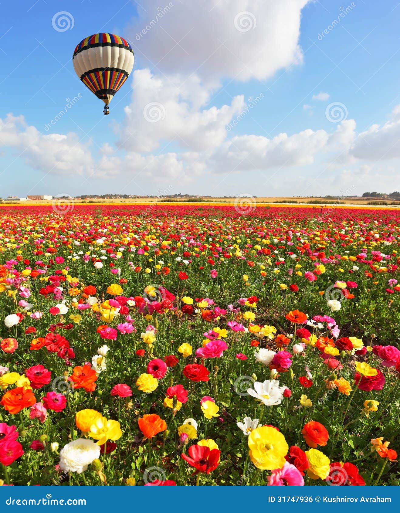 Over the Blossoming Flowers of Flying a Balloon Stock Photo - Image of ...