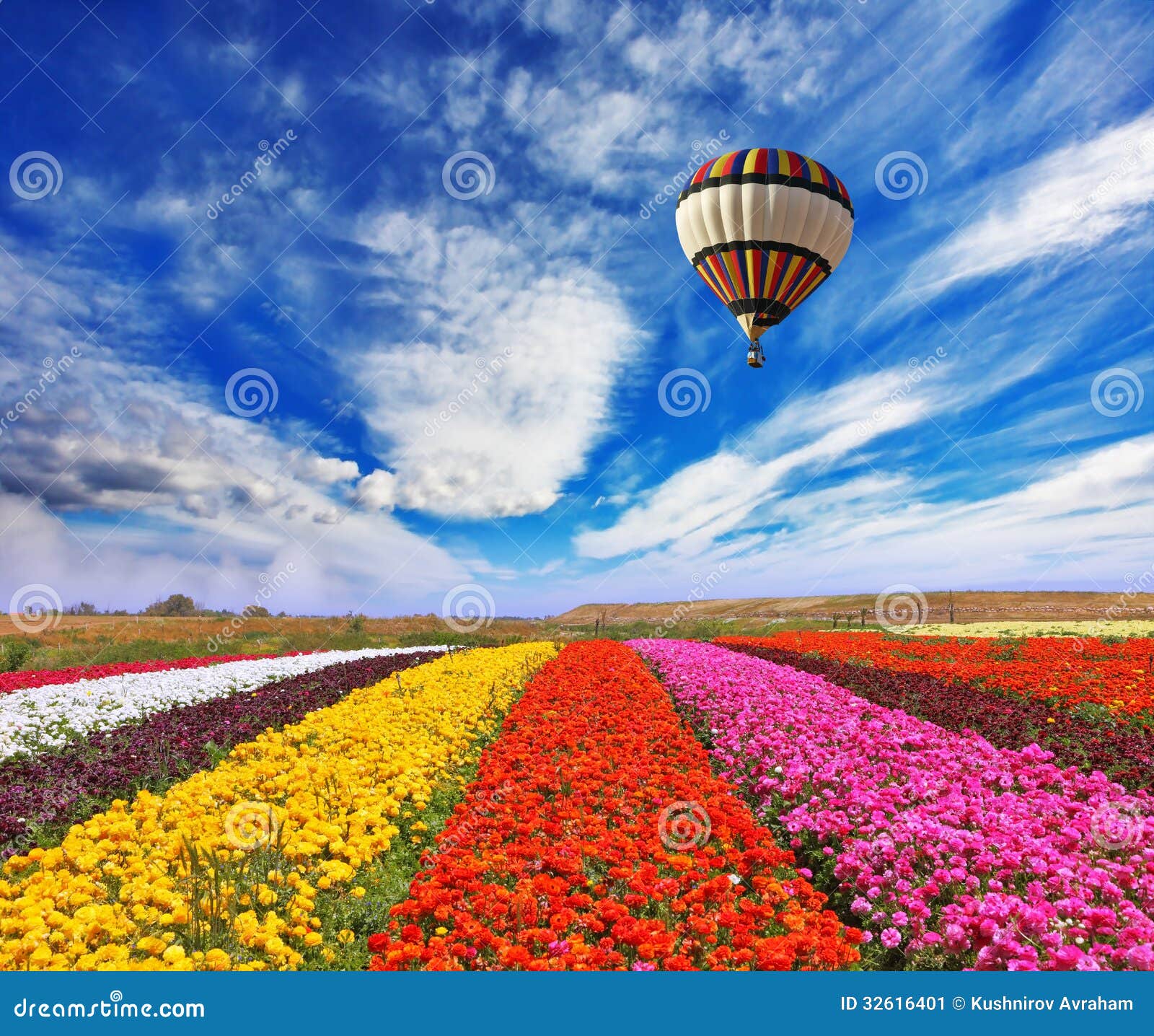 Over Field the Air Huge Sphere Flies Stock Image - Image of blossom ...