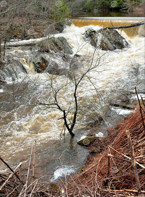 Over Flowing Saco River Creates Flash Flooding Stock Photo Image of saco, morning 53146472