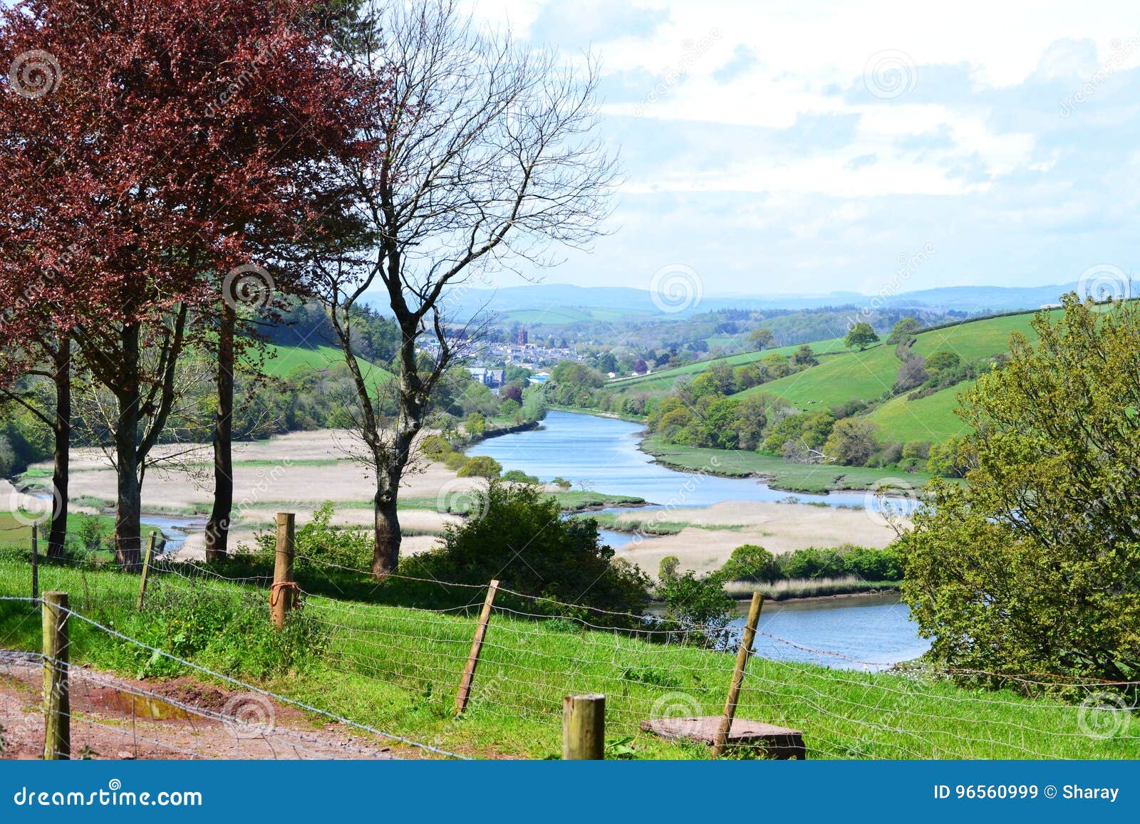 over looking river dart toward totnes devon england
