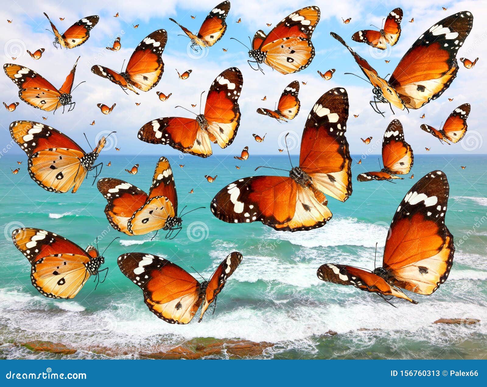 Over the sea stock illustration. Illustration of migrate 156760313