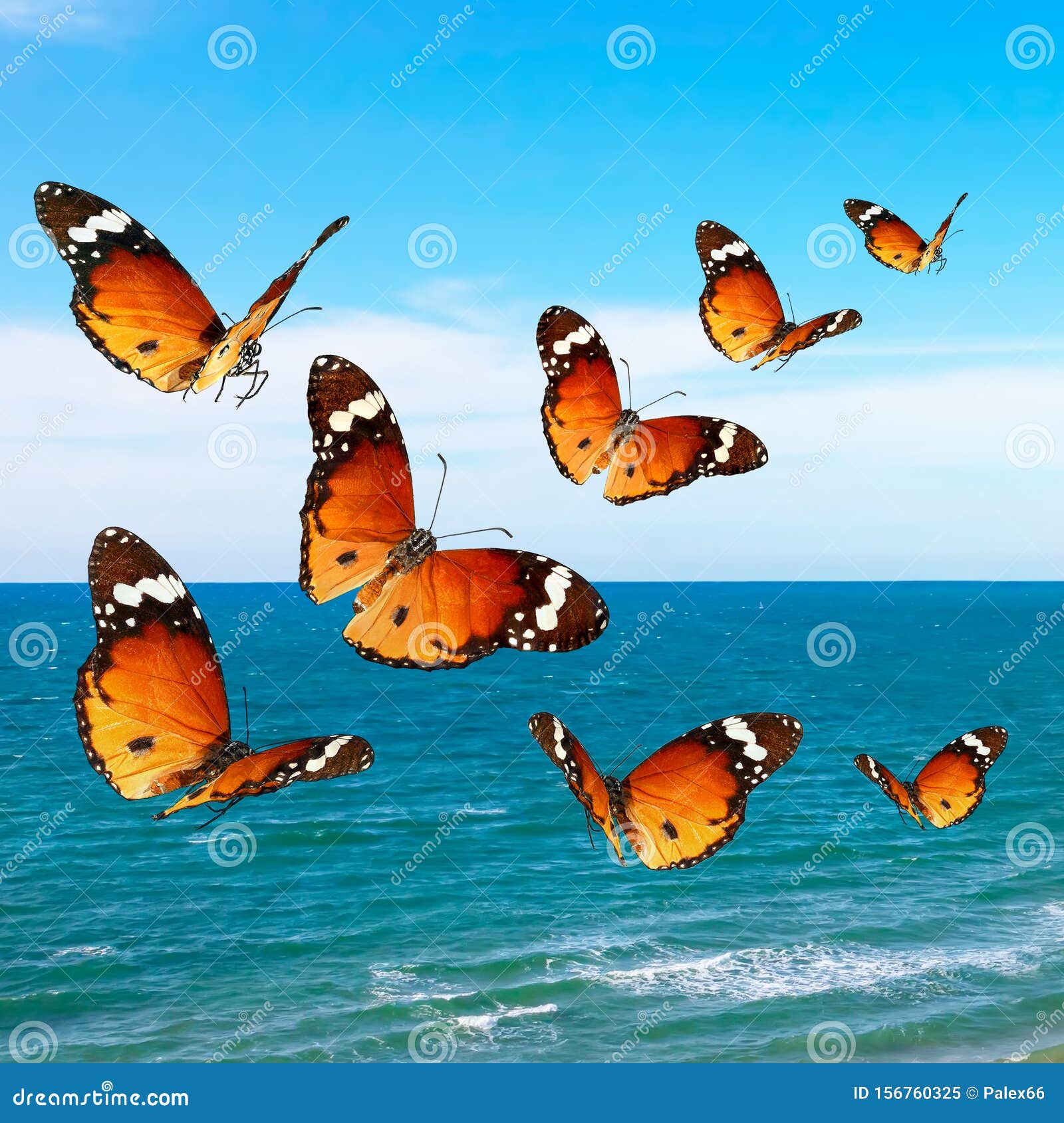 Over the sea stock illustration. Illustration of nature 156760325