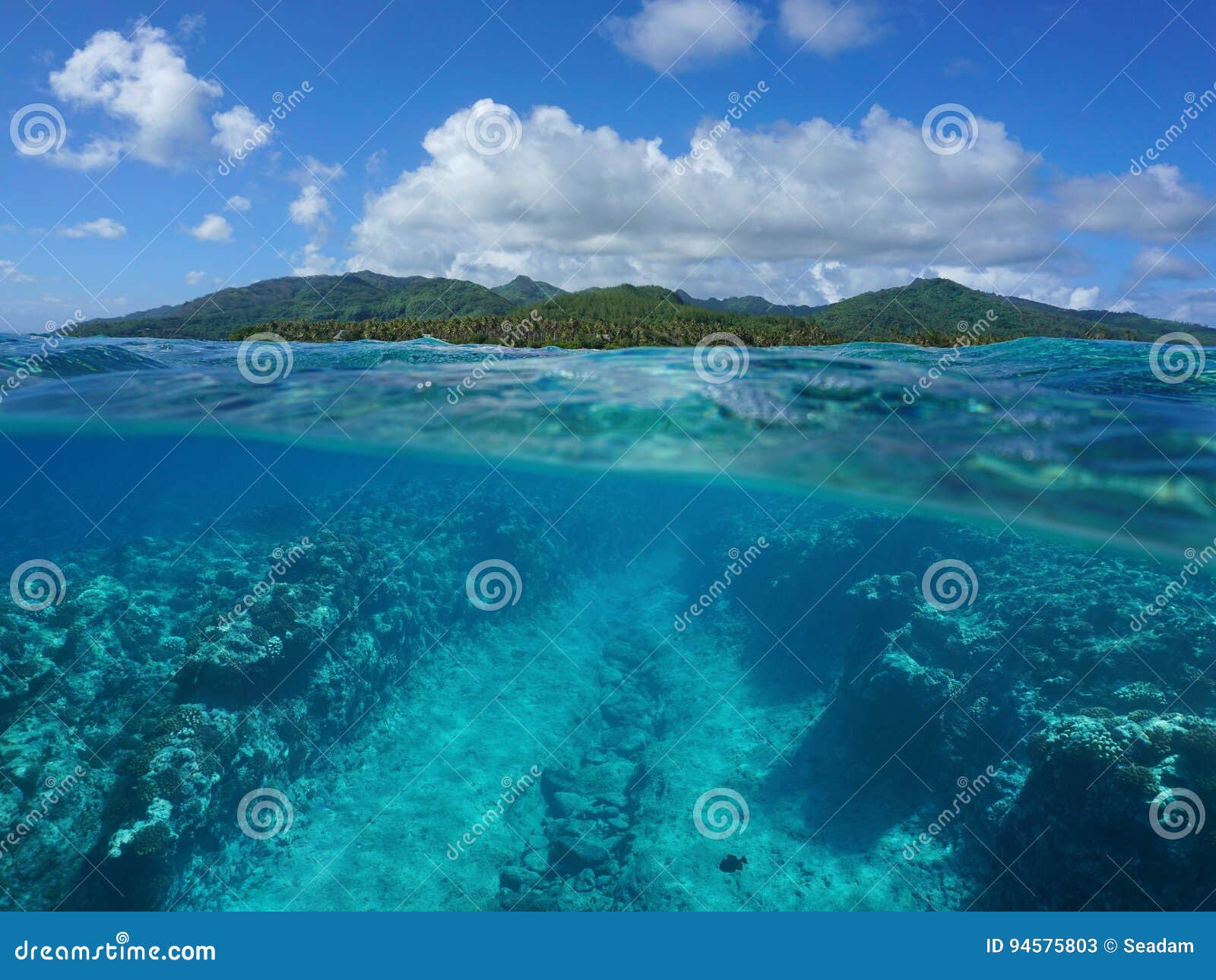 Over Under Pacific Island Underwater Ocean Floor Stock Image