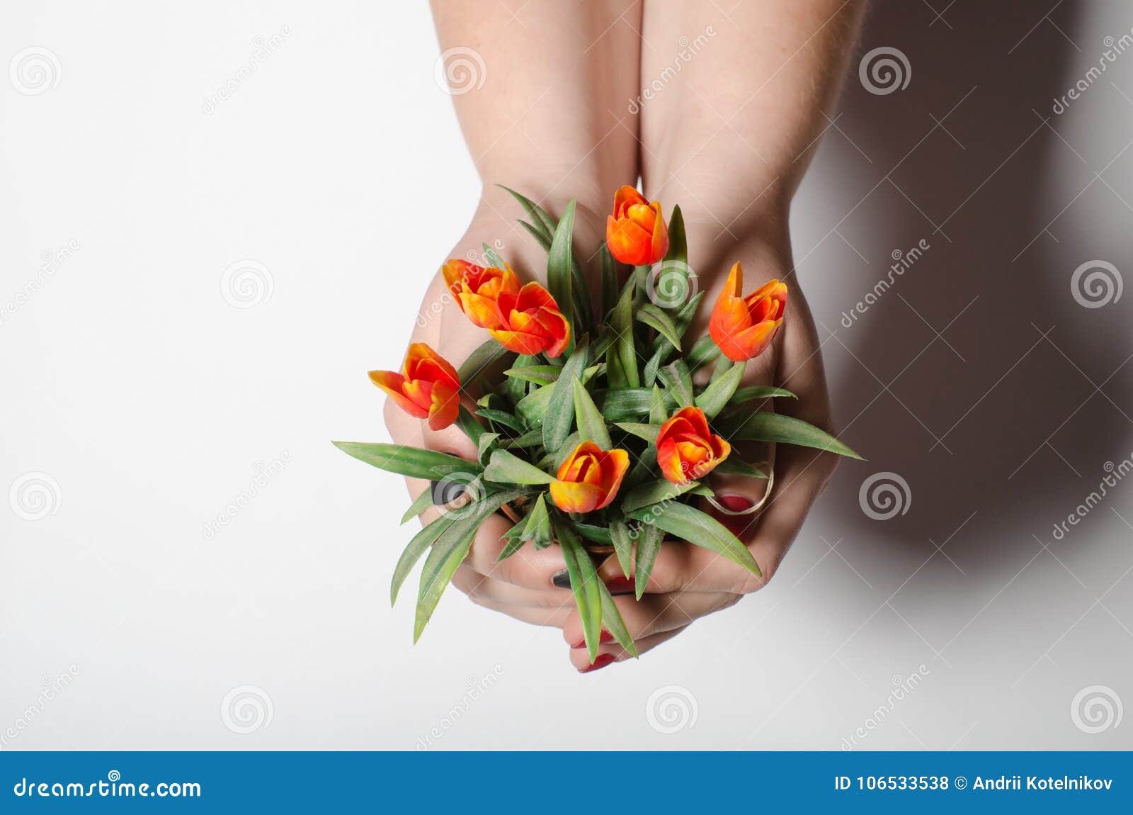 over white background girl holding flowers