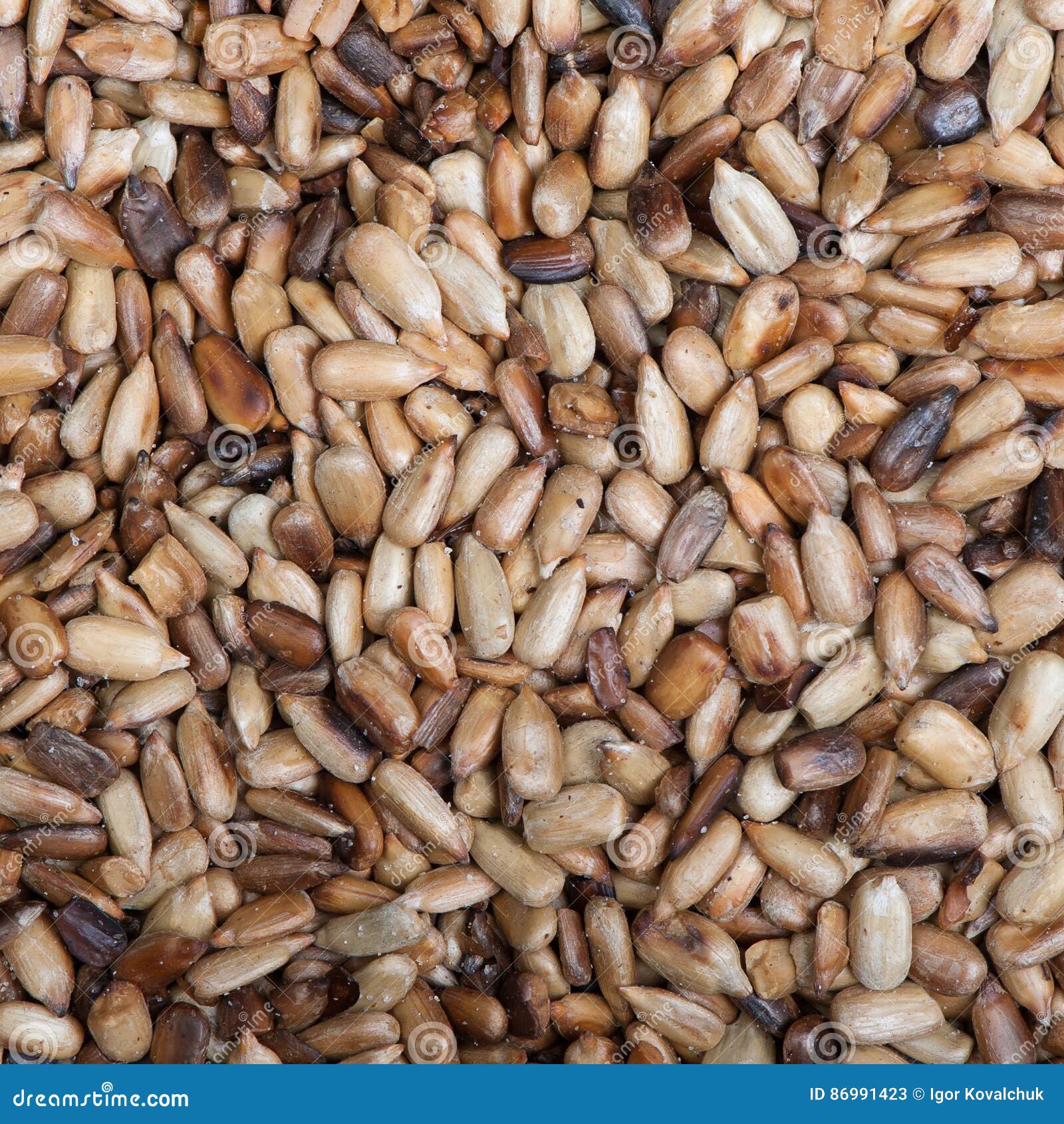 Overcooked Peeled Sunflower Seeds Stock Image Image of digested
