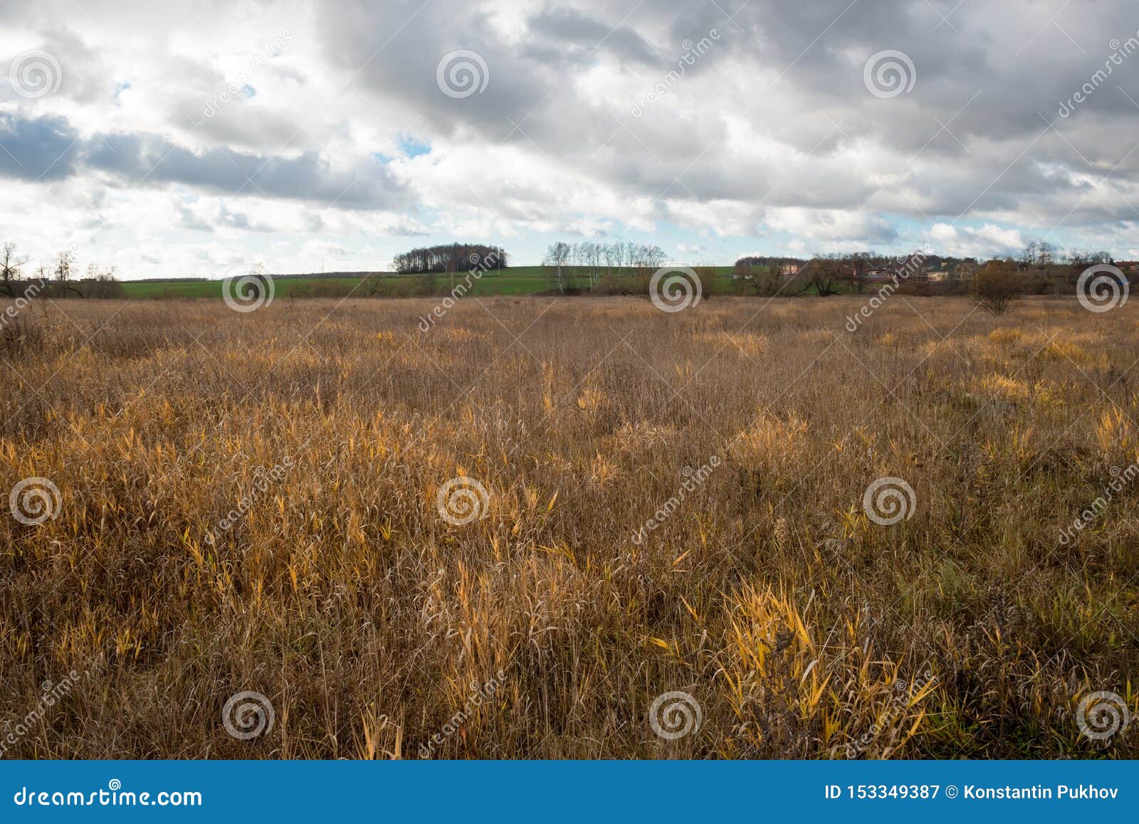 Dry Grass in the Autumn Field Stock Image Image of hill, farming 153349387