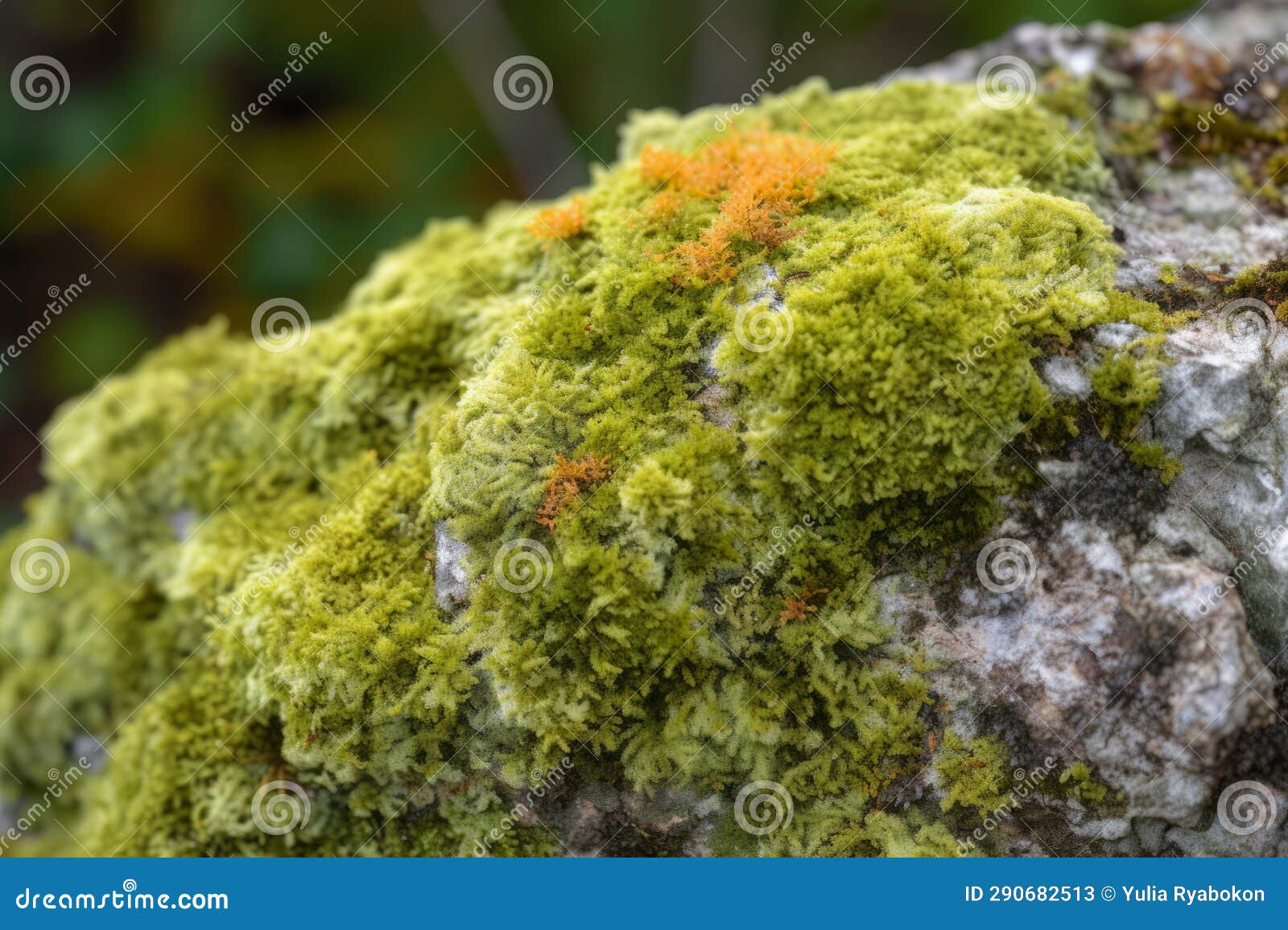 Overgrown Lichen Stone Plant. Generate Ai Stock Image Image of