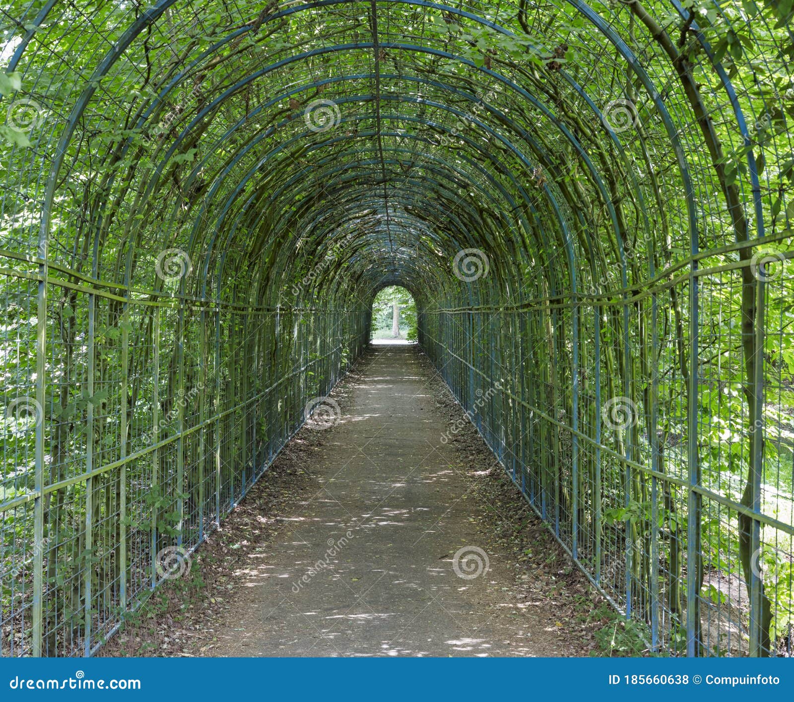 Overgrown Passage in a Garden Stock Photo Image of destination, path