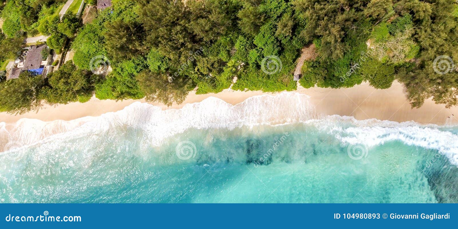 overhead panoramic view of beautiful tropical beach with trees
