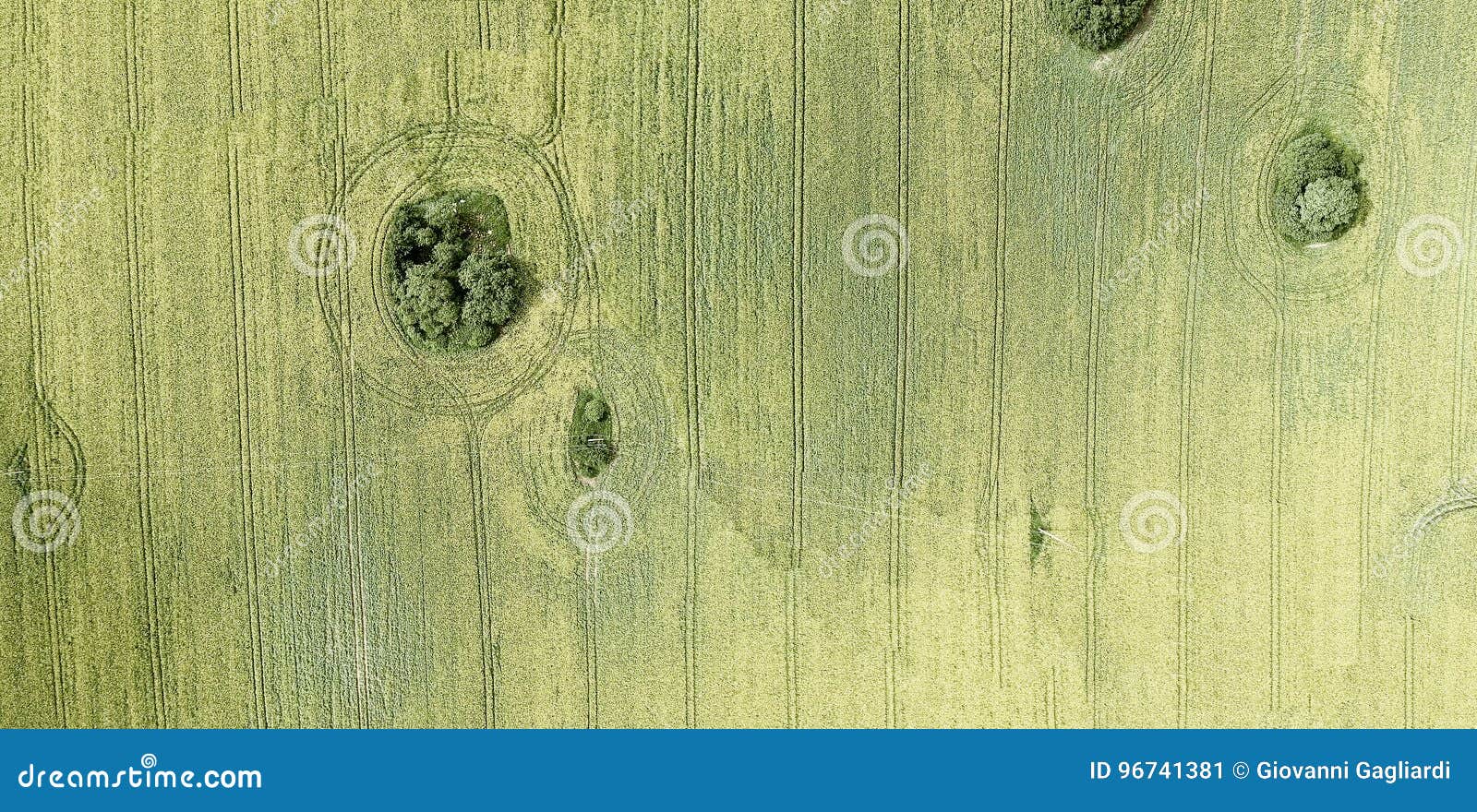 Overhead Panoramic View of Beautiful Yellow Meadows Stock Image Image of meadow, outdoor 96741381