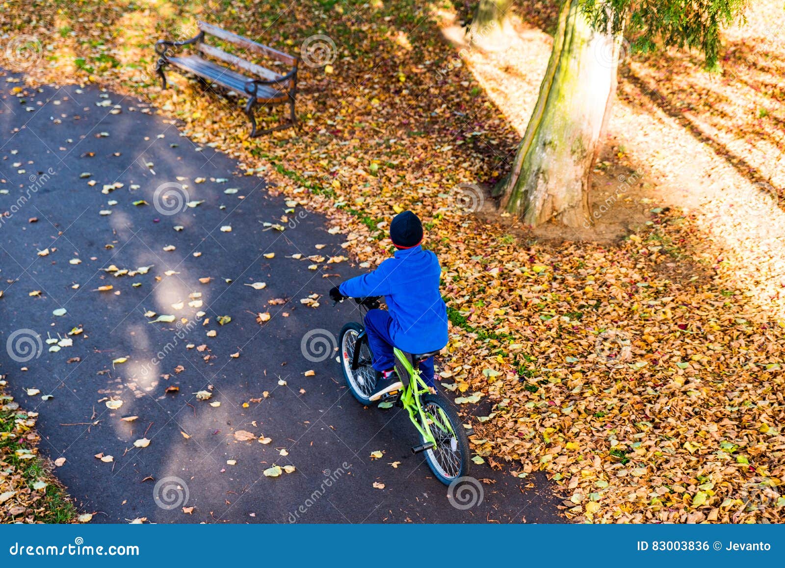 Overhead Photo of a Boy Rides a Bicycle in Autumn Park Stock Photo ...