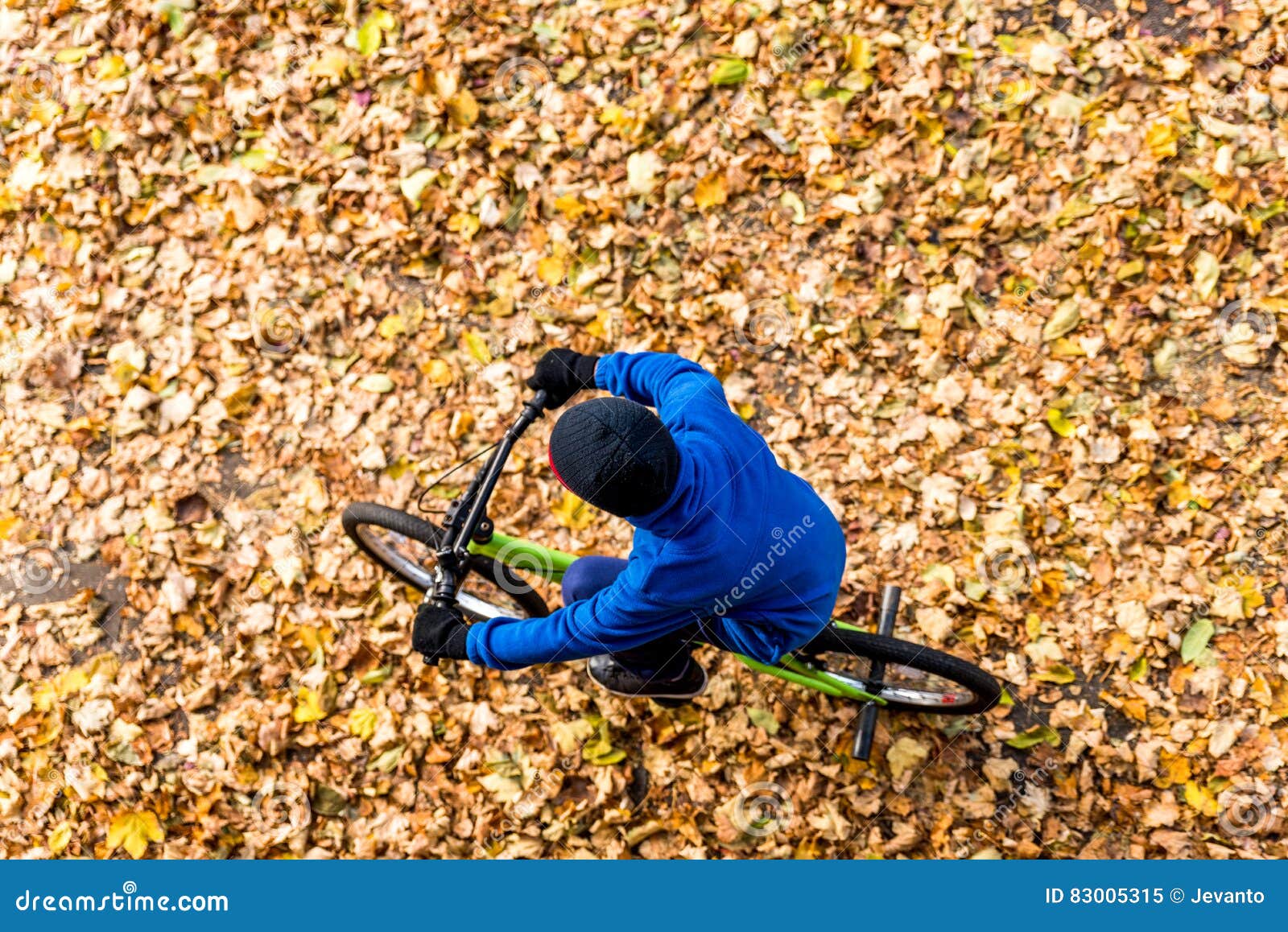 Overhead Photo of a Boy Rides a Bicycle in Autumn Park Stock Image ...