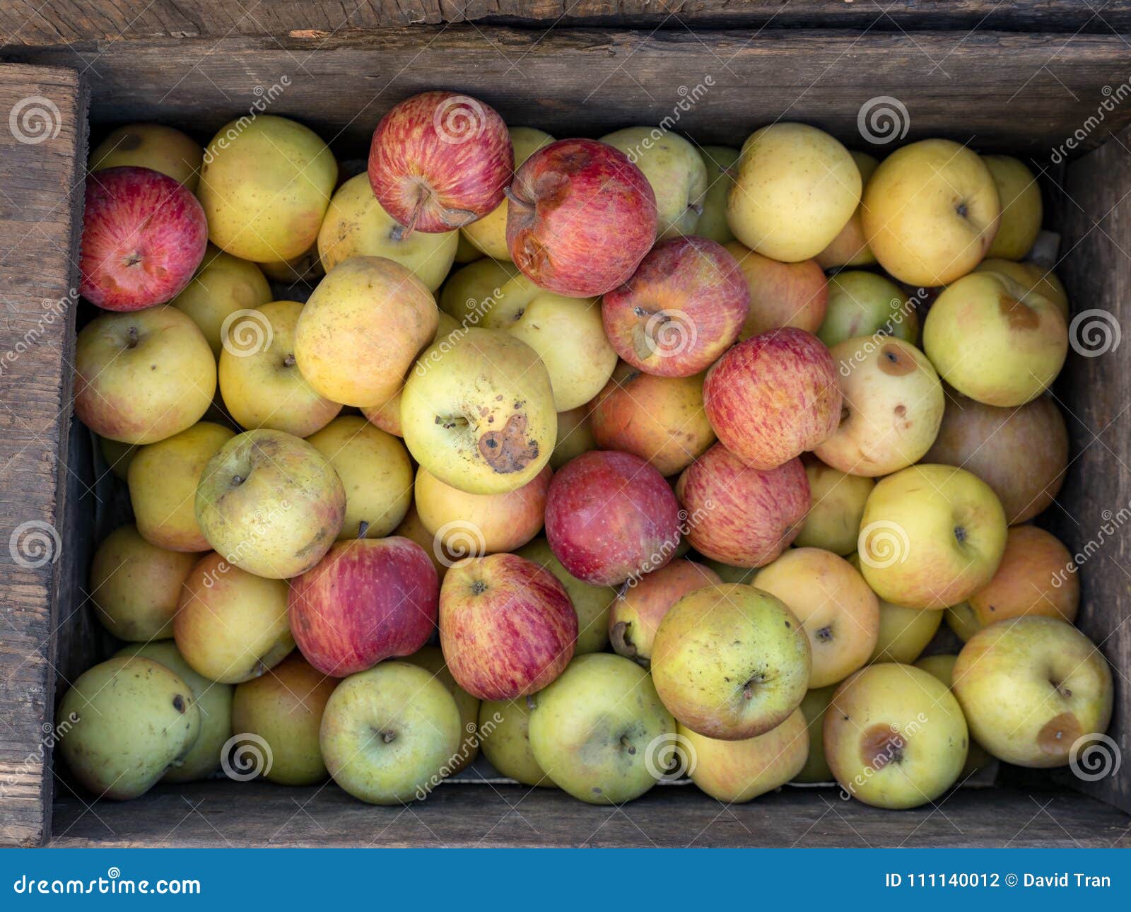 overhead shot local apples ready for farmer`s market